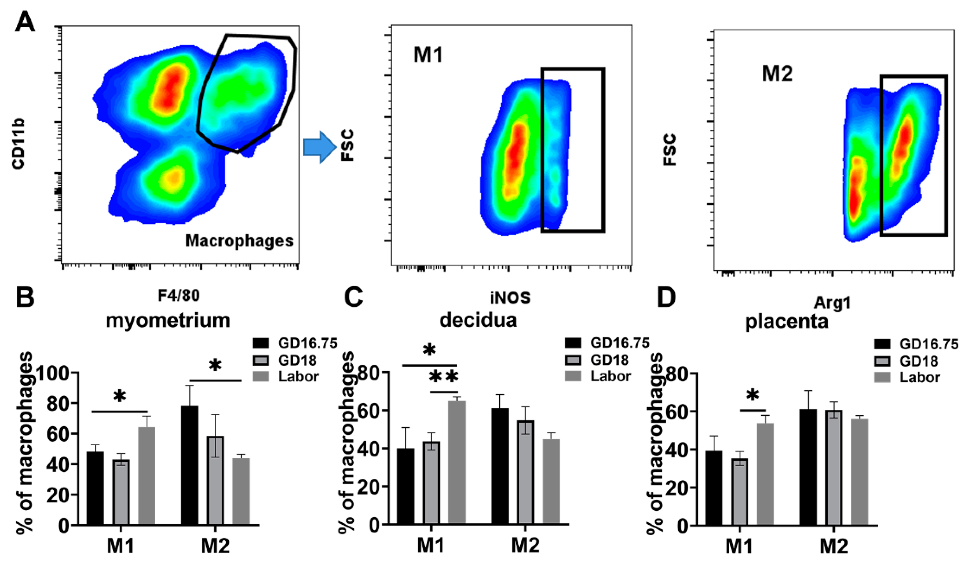 Biology 11 01759 g003 Biology 11 01759 g003