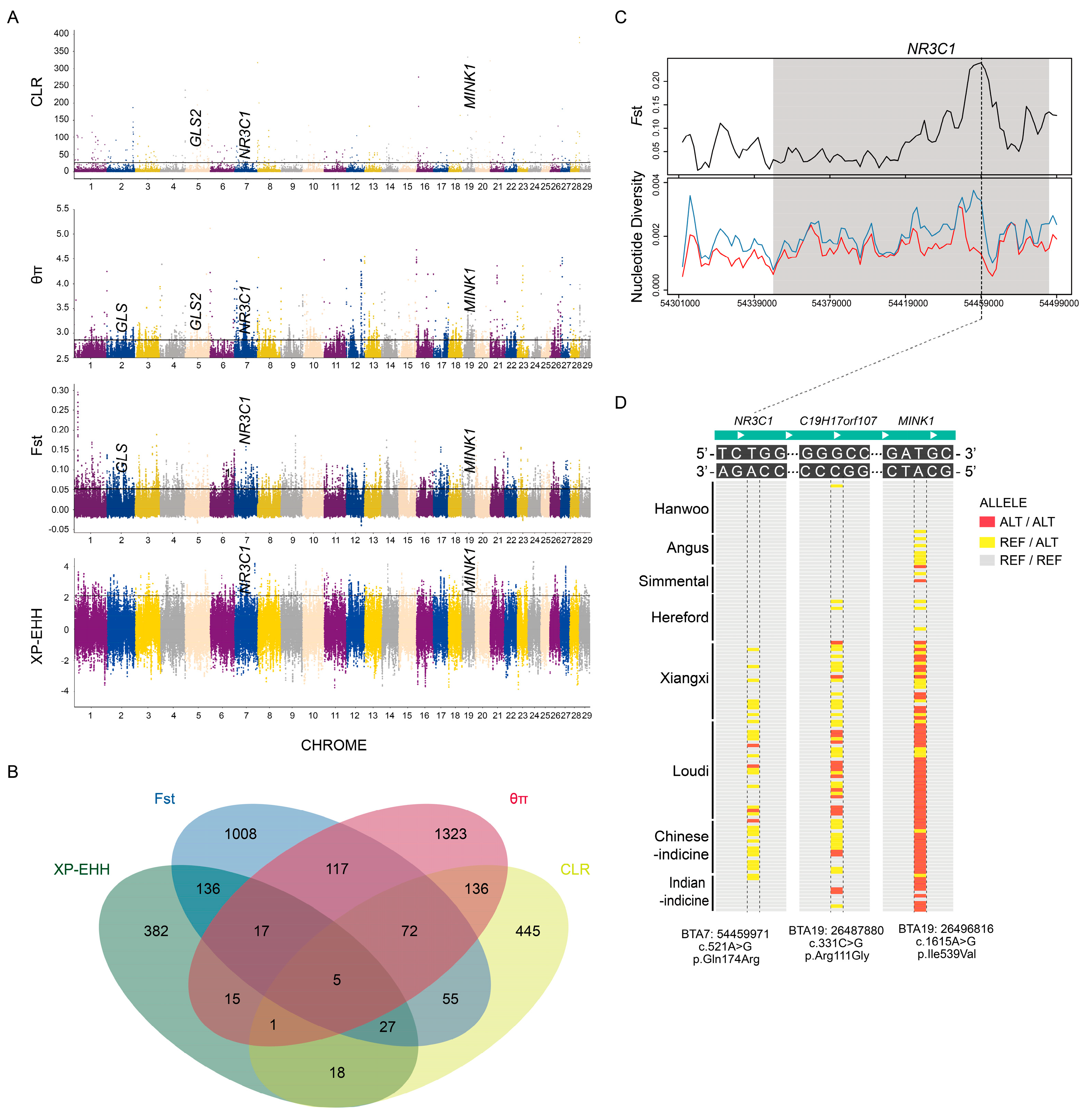 Biology 11 01775 g004 Biology 11 01775 g004