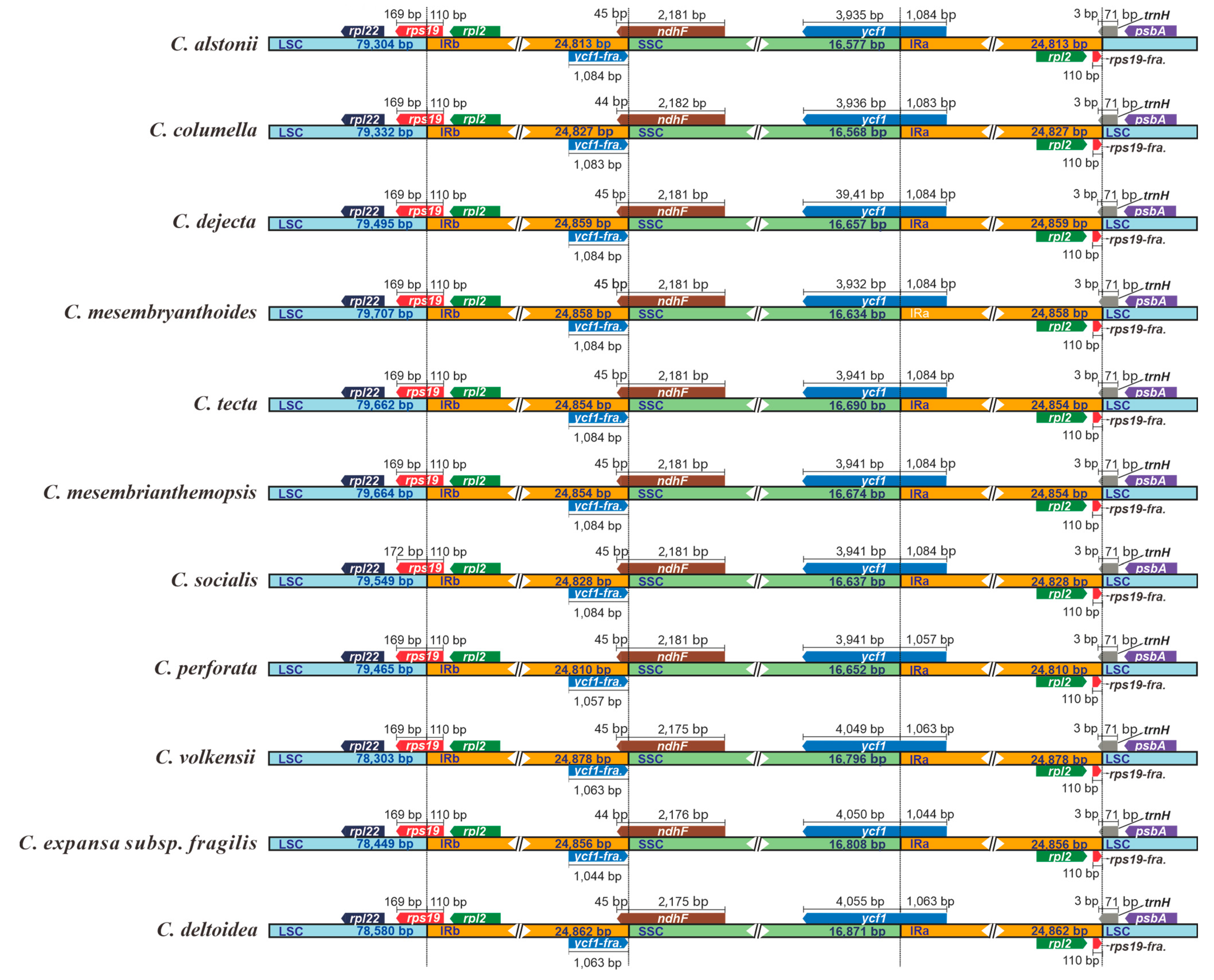 Biology 11 01779 g004 Biology 11 01779 g004