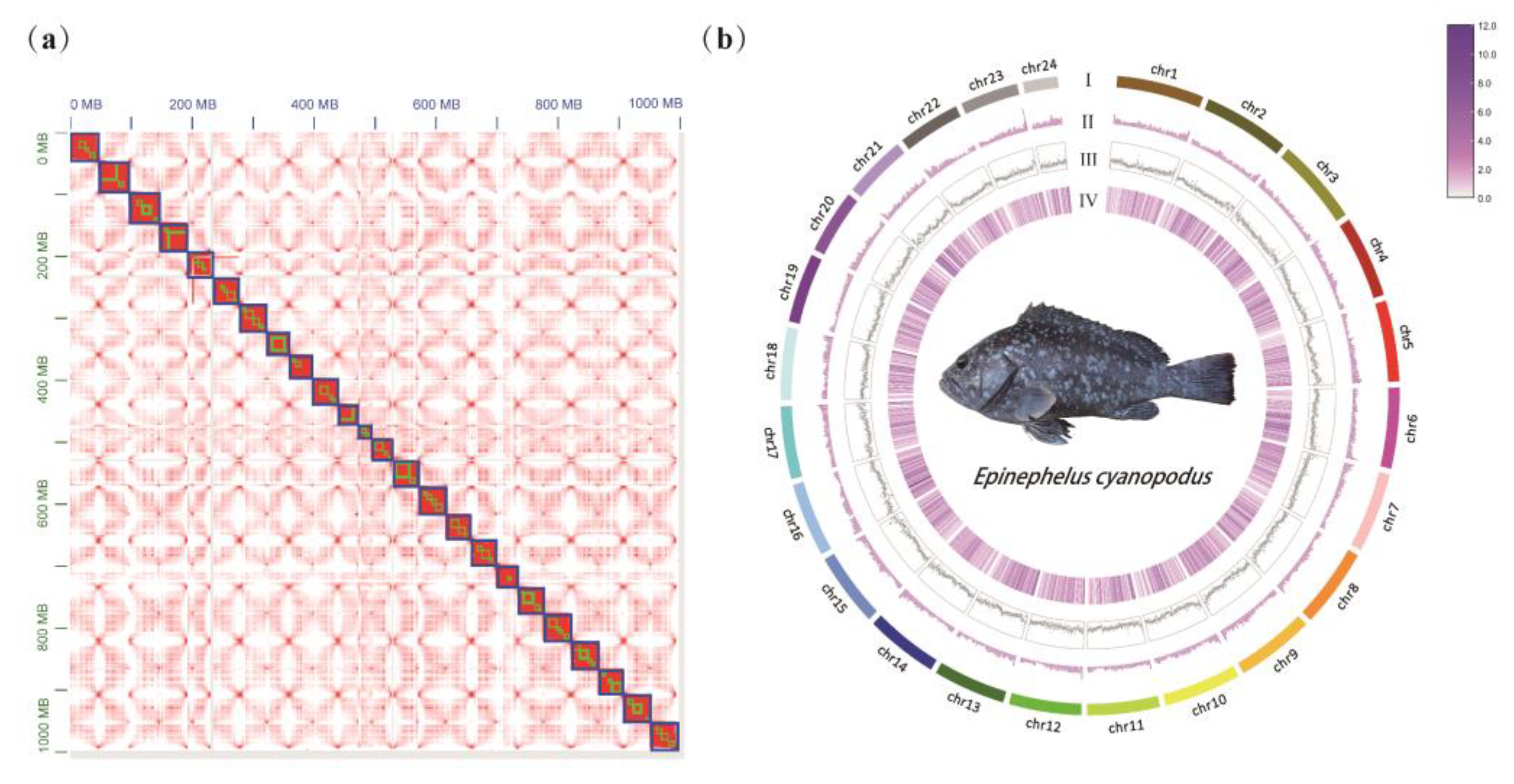 Biology 11 01810 g001