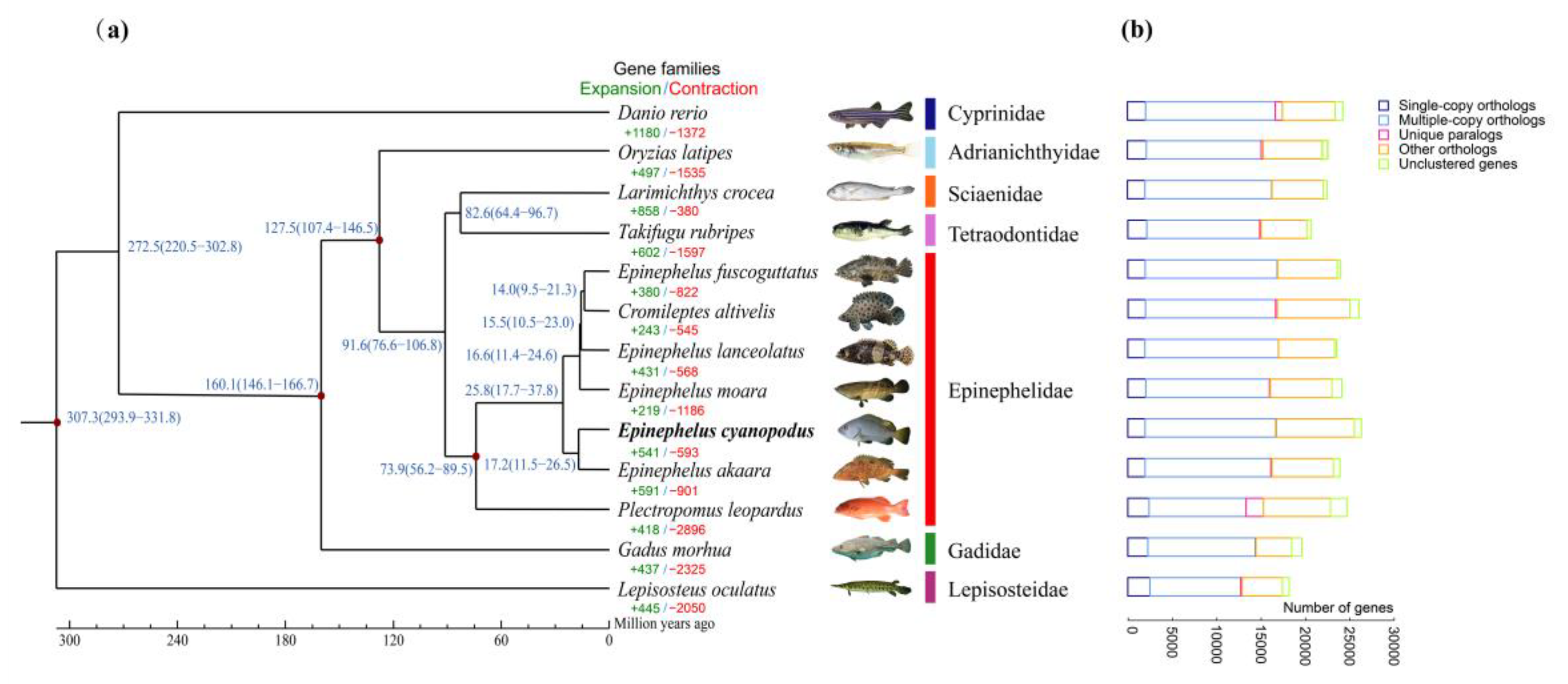 Biology 11 01810 g003