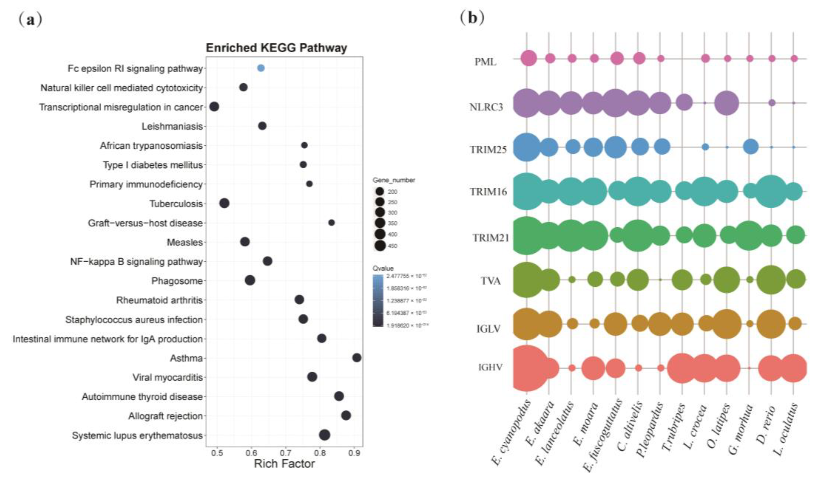 Biology 11 01810 g004