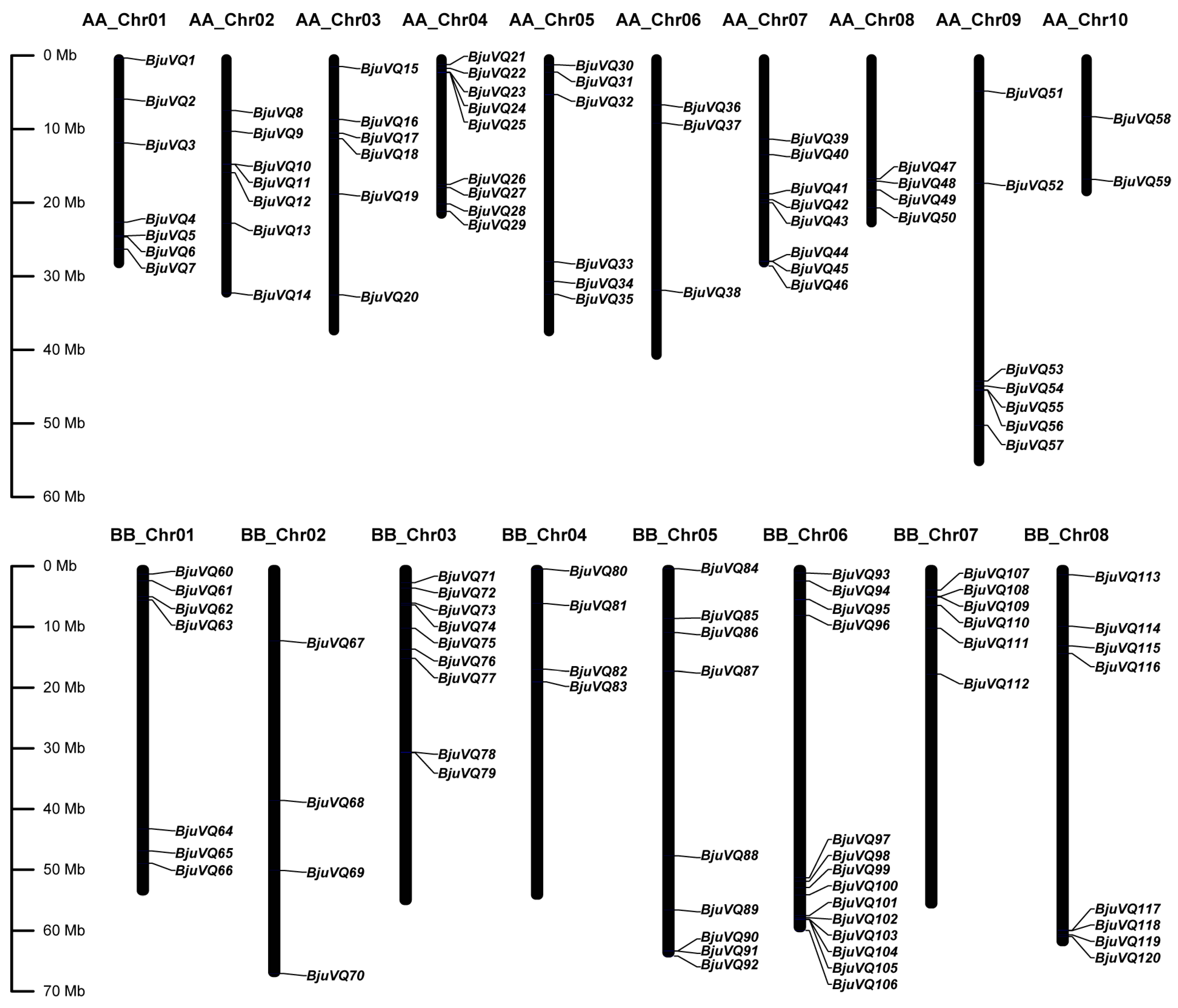 Biology | Free Full-Text | Comprehensive Identification and Expression