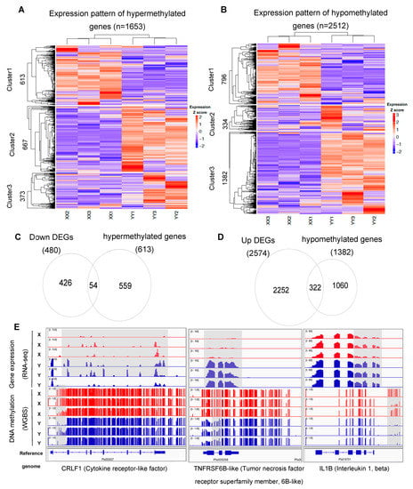 Biology Free Full Text Sexually Dimorphic Gene Expression In X And Y Sperms Instructs Sexual 2956