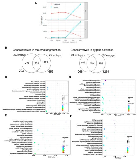 Biology Free Full Text Sexually Dimorphic Gene Expression In X And Y Sperms Instructs Sexual 6220