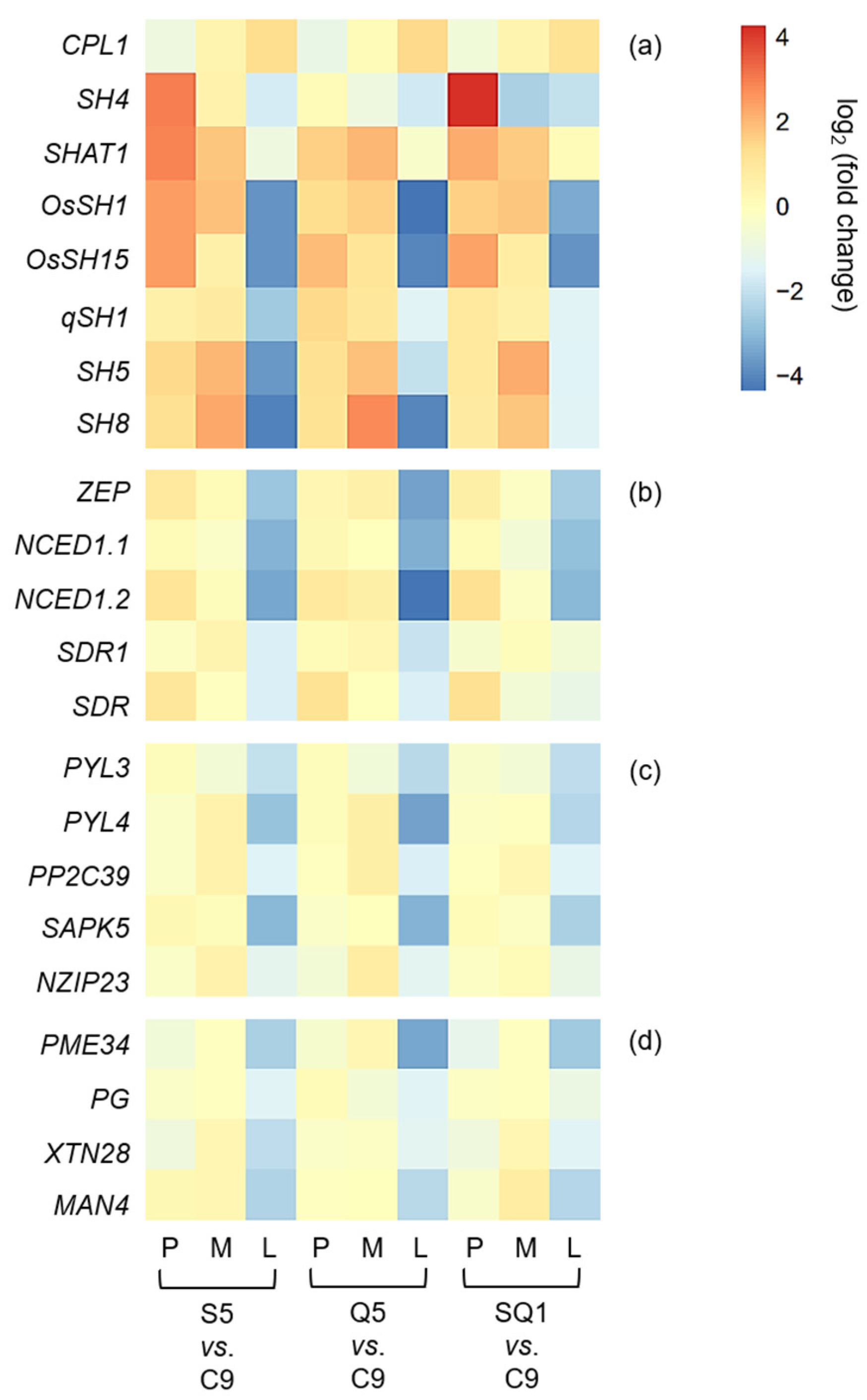 Biology 11 01823 g007