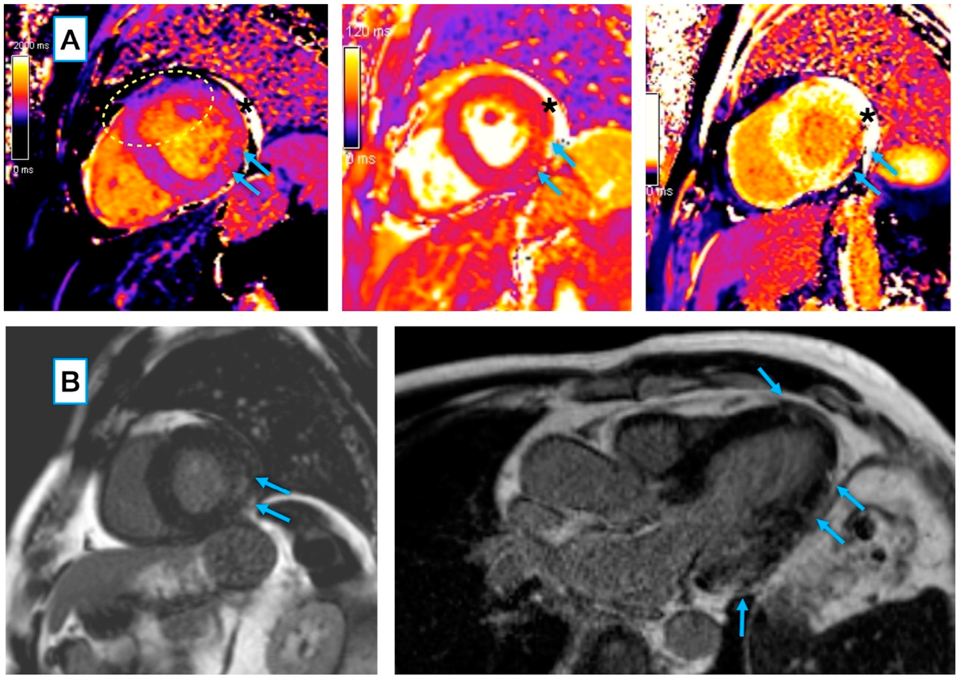 Biology 11 01848 g002 Biology 11 01848 g002