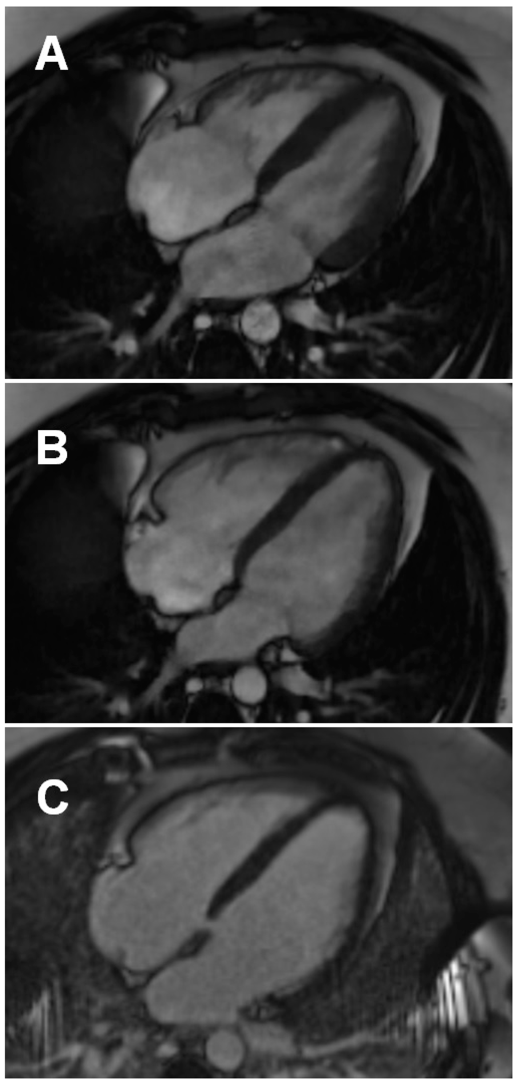 Biology 11 01848 g003 Biology 11 01848 g003