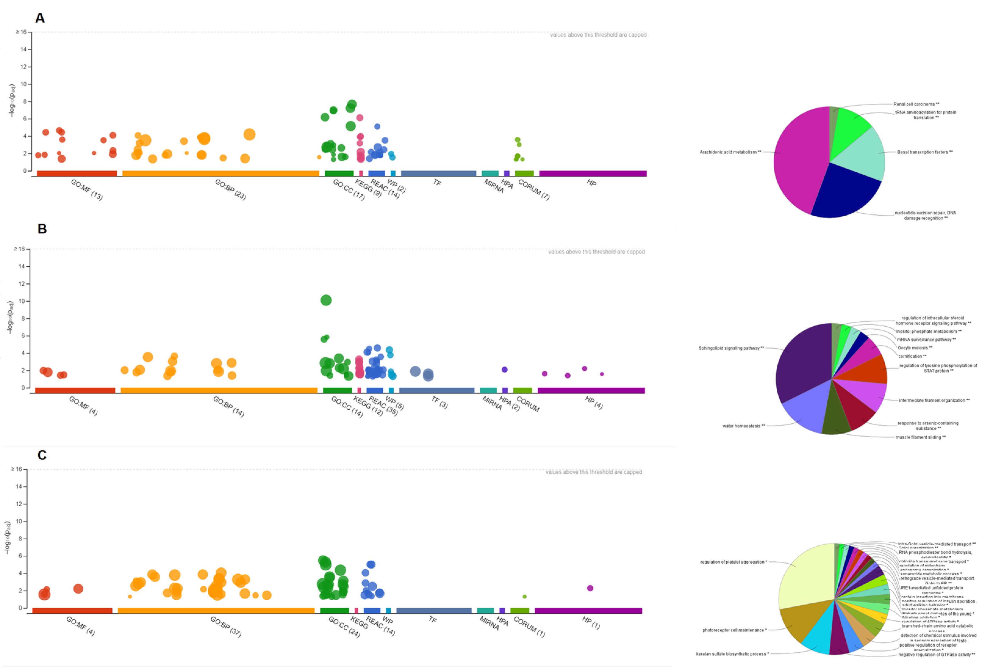 Biology 11 01851 g005