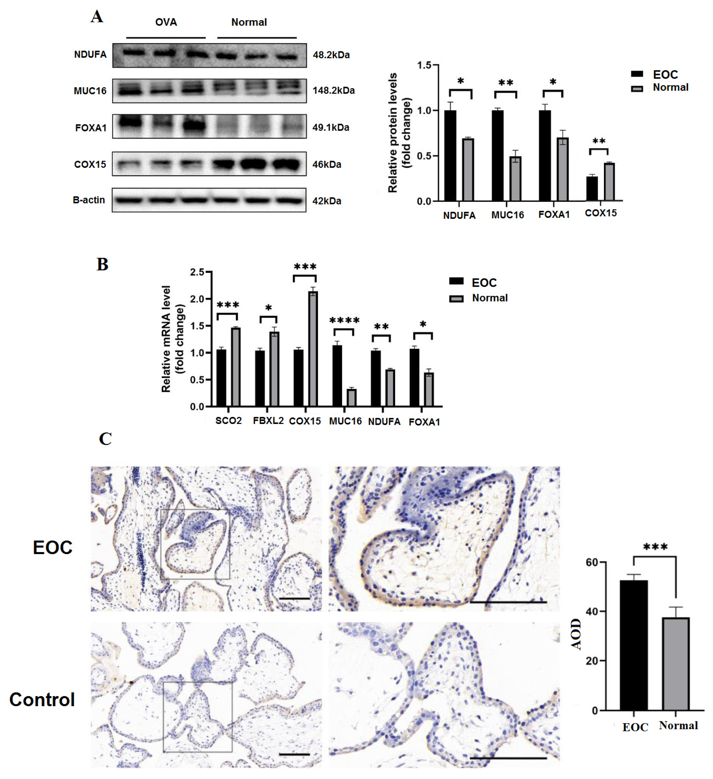 Biology 11 01851 g009