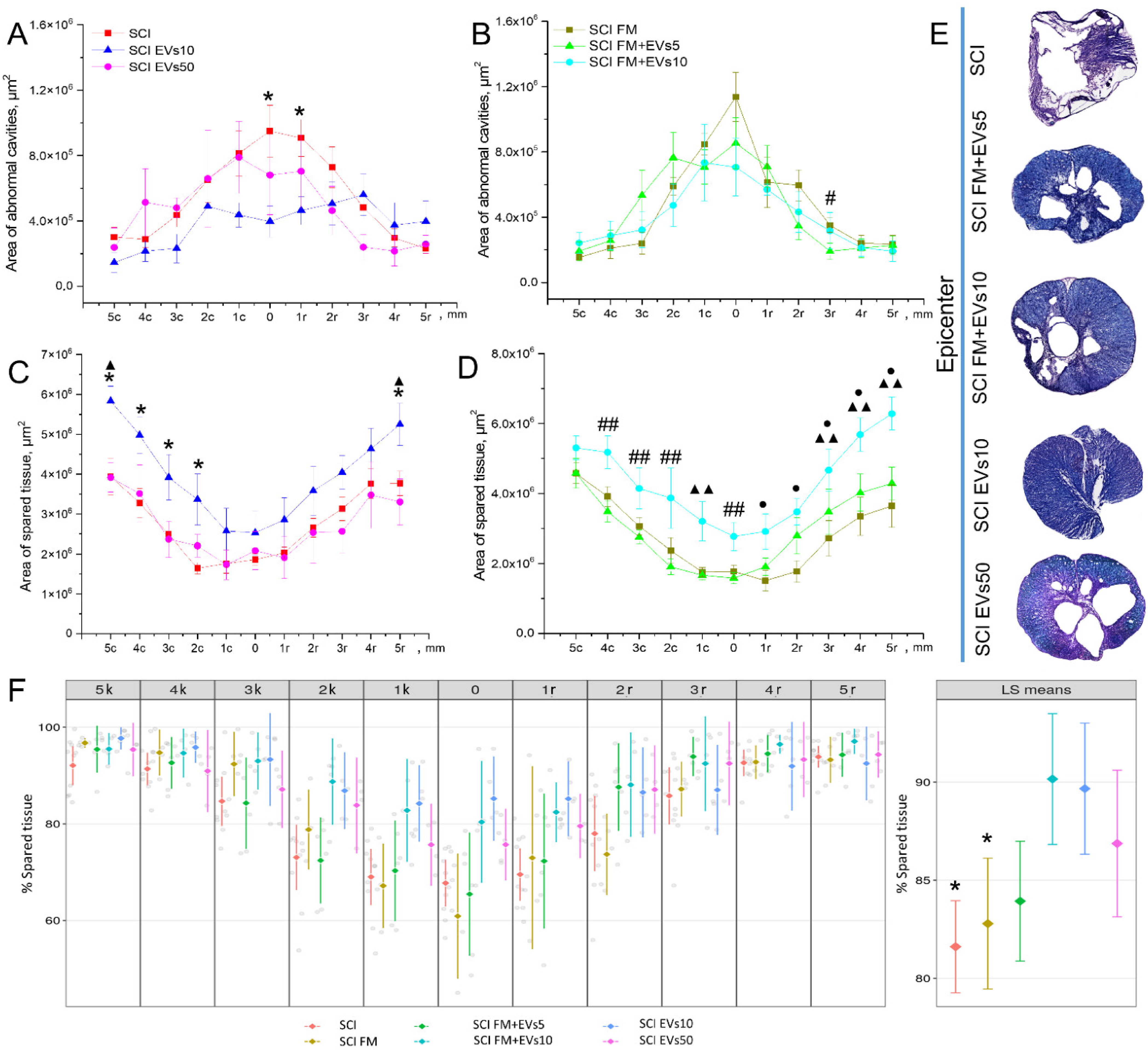 Biology 11 01853 g003 Biology 11 01853 g003