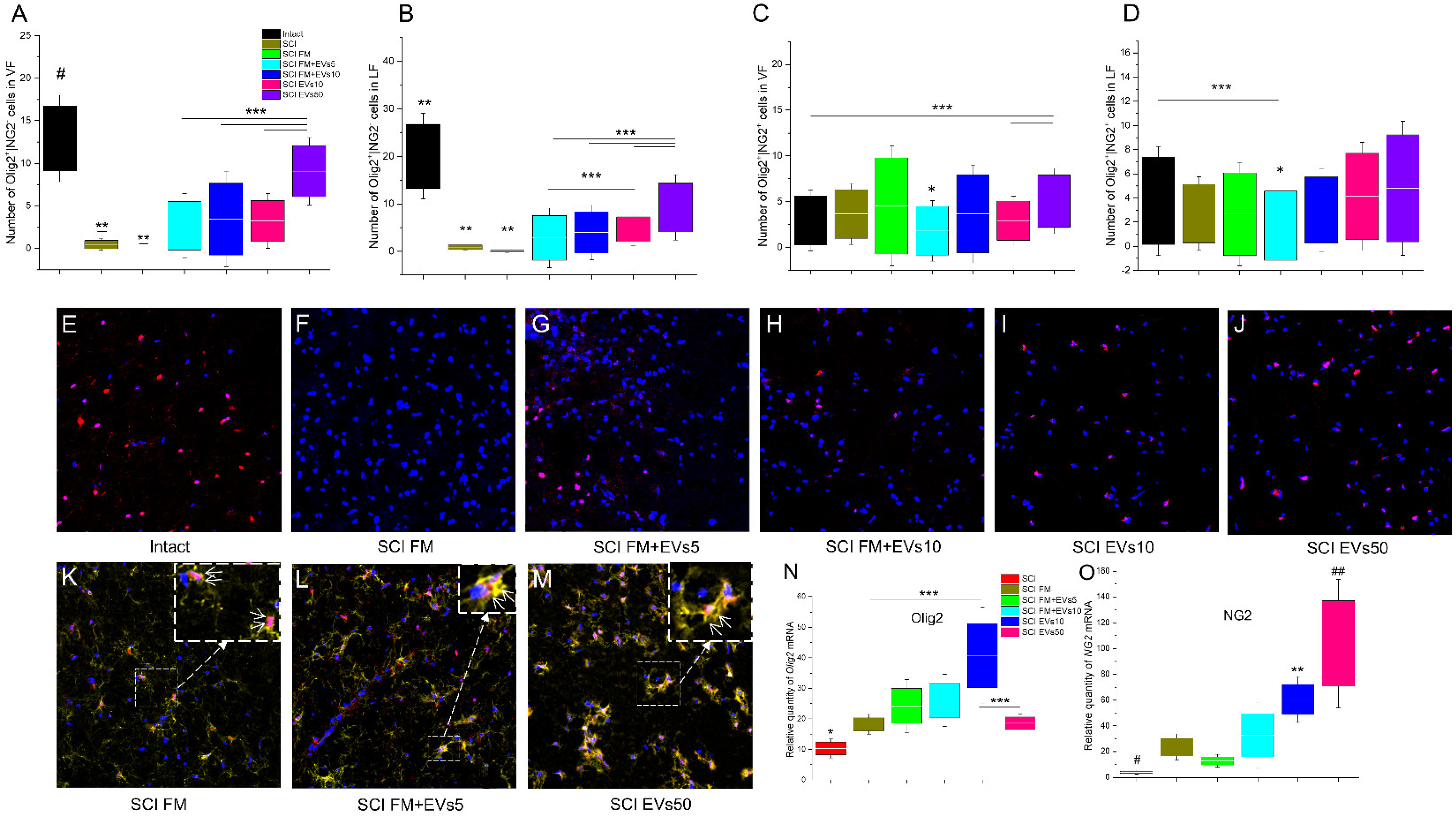 Biology 11 01853 g004 Biology 11 01853 g004