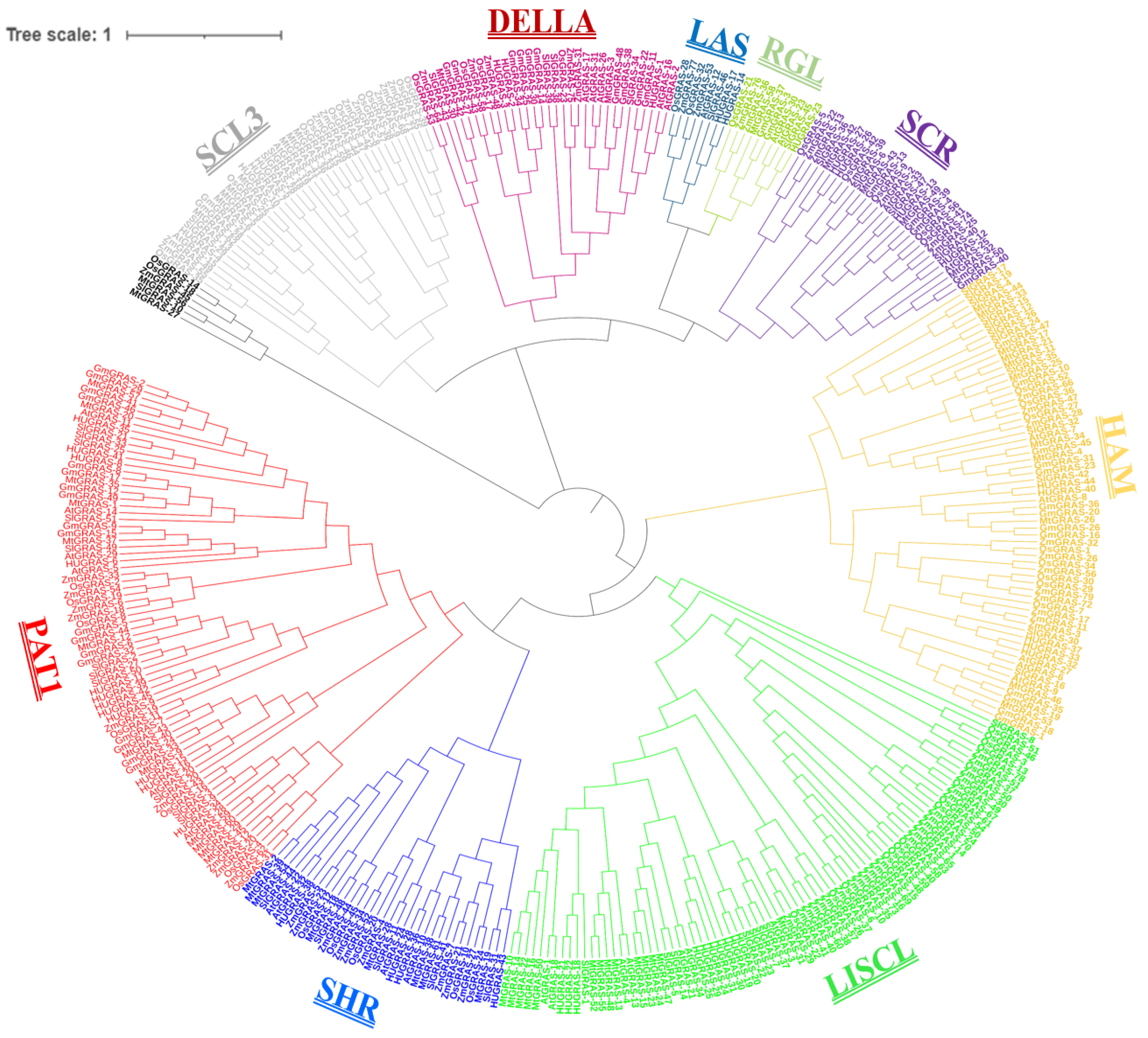 Biology 12 00011 g002