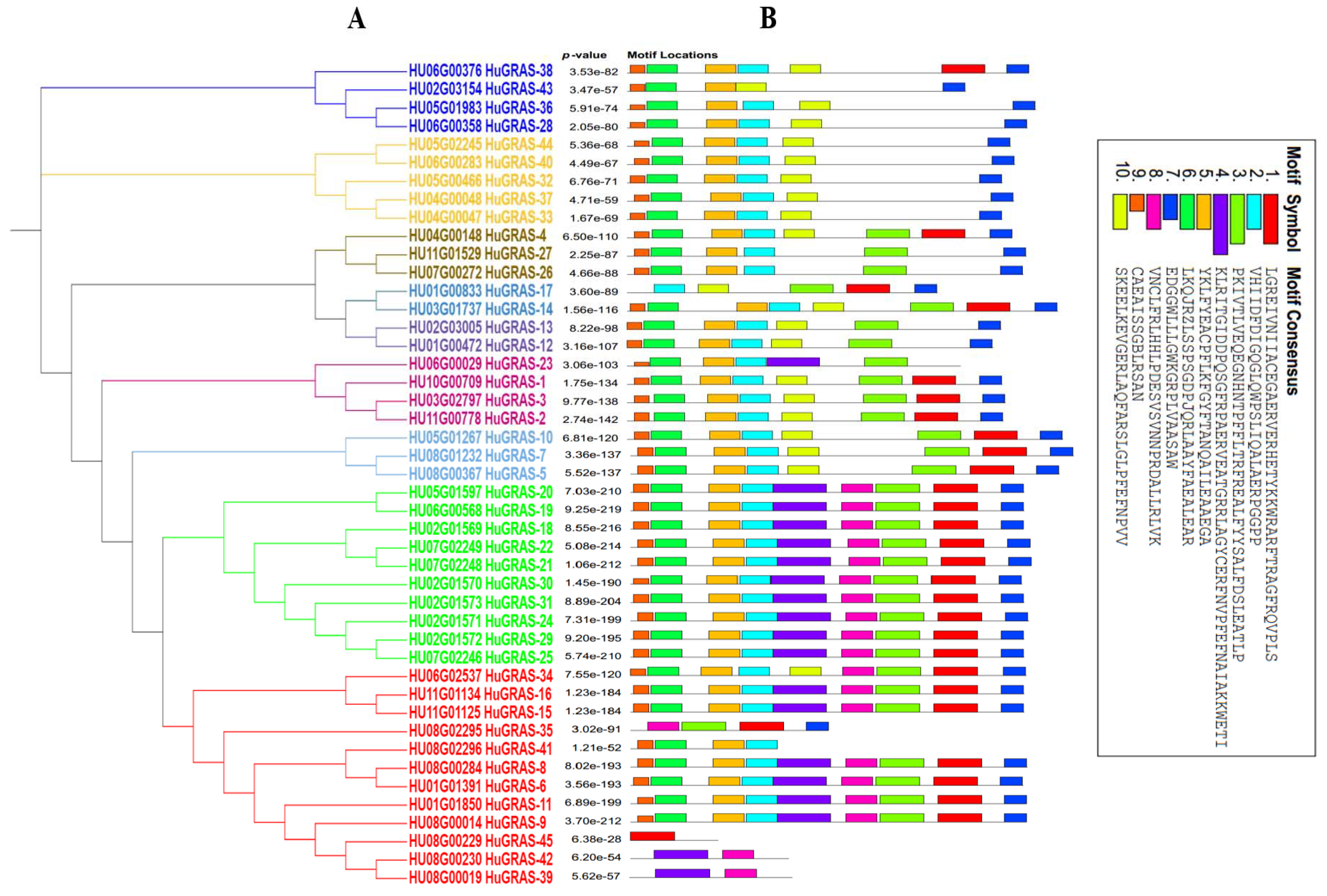 Biology 12 00011 g003