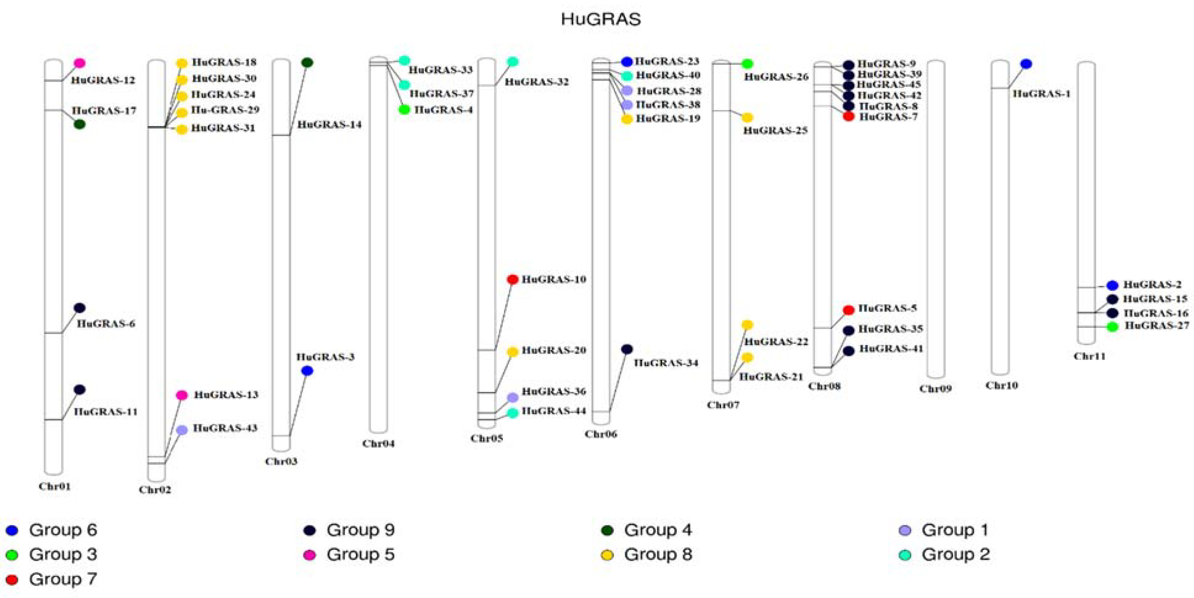Biology 12 00011 g004