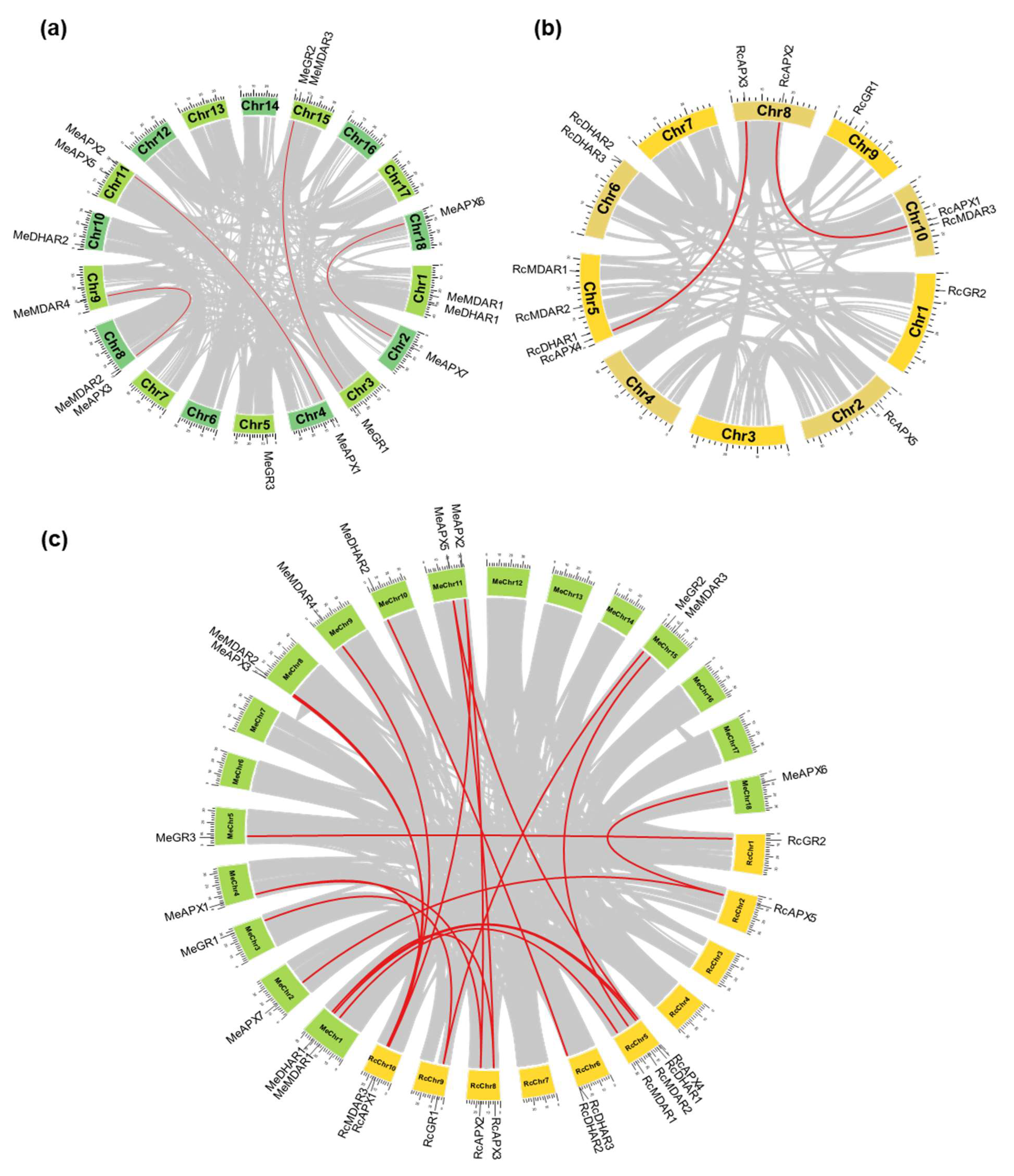 Biology 12 00019 g002