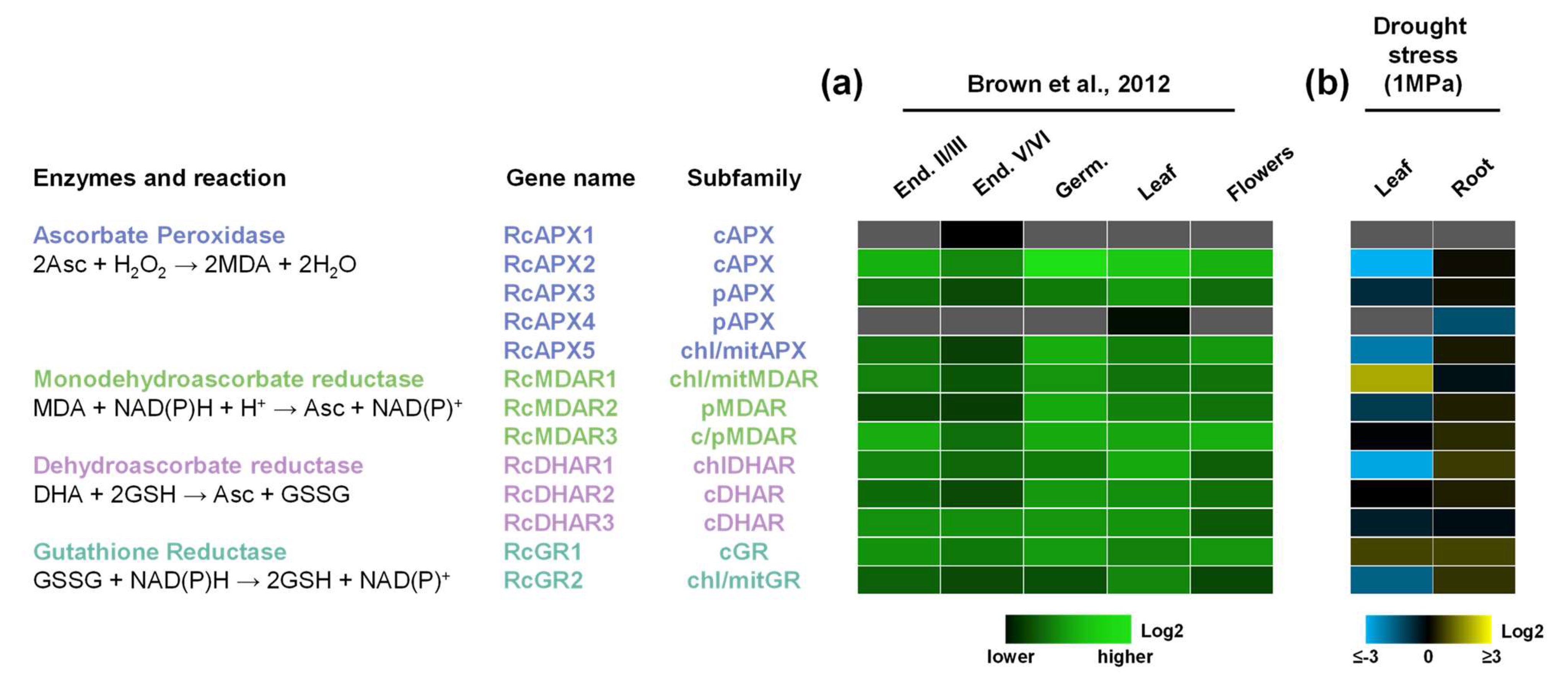 Biology 12 00019 g005