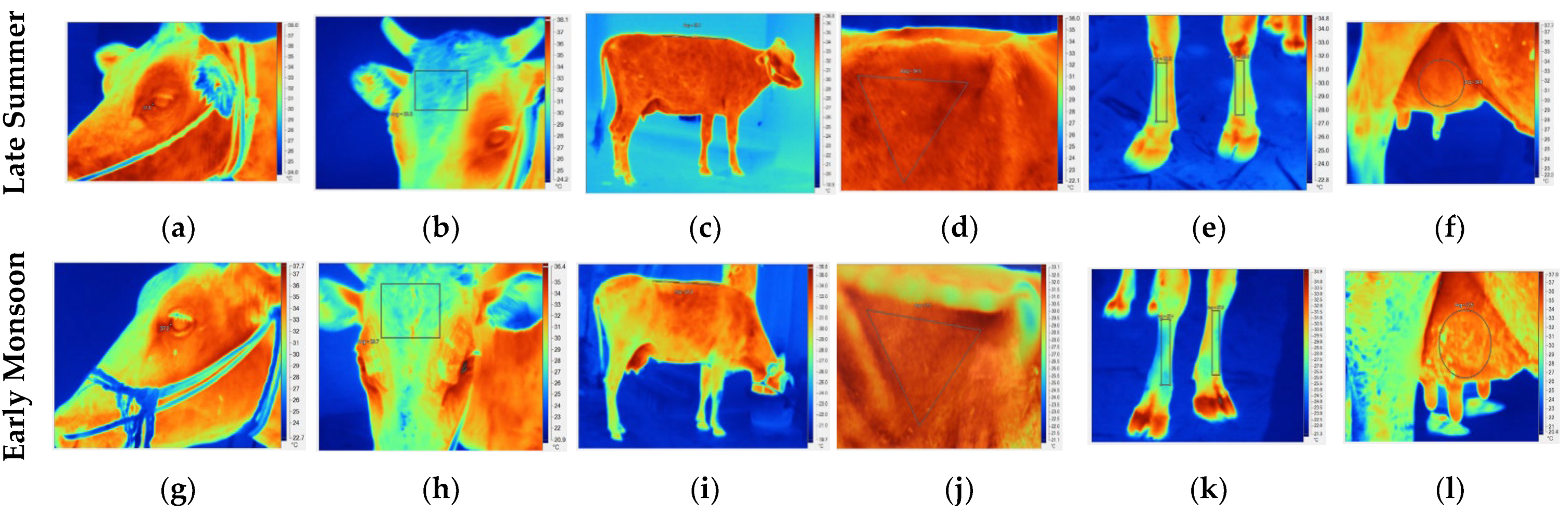 Biology 12 00026 g001 Biology 12 00026 g001