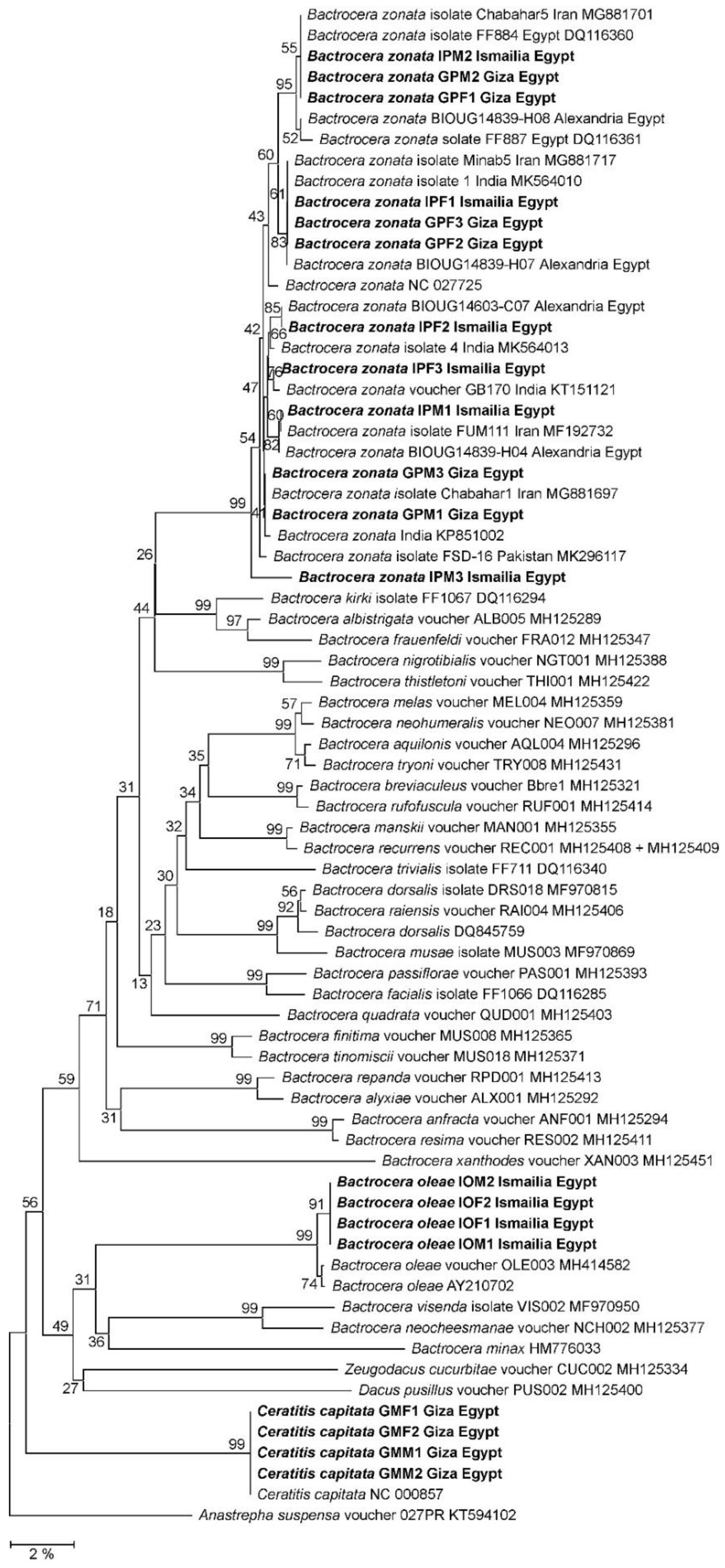 Biology 12 00027 g003