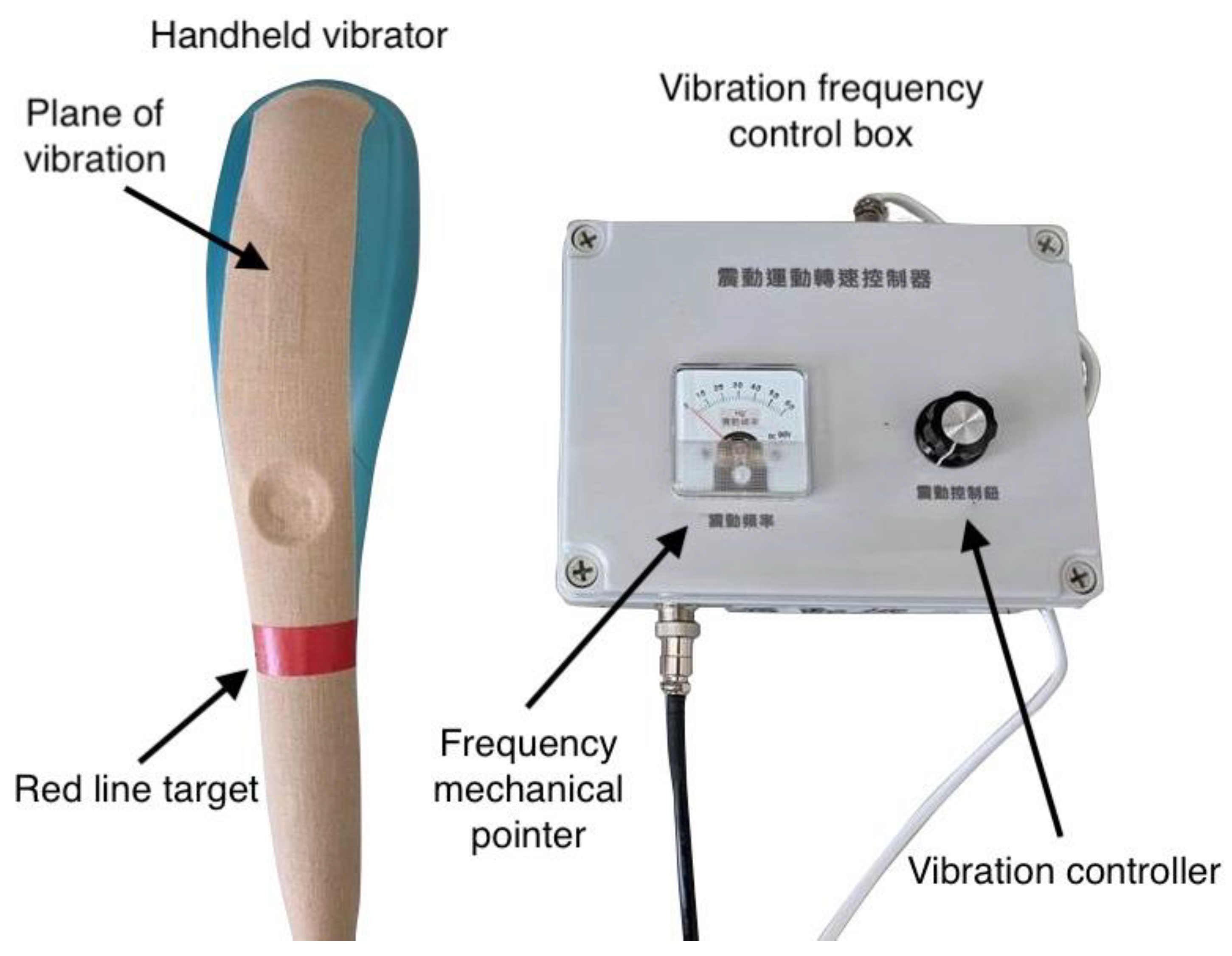 Biology | Free Full-Text | Analysis of Vibration Frequency and Direction  for Facilitating Upper-Limb Muscle Activity