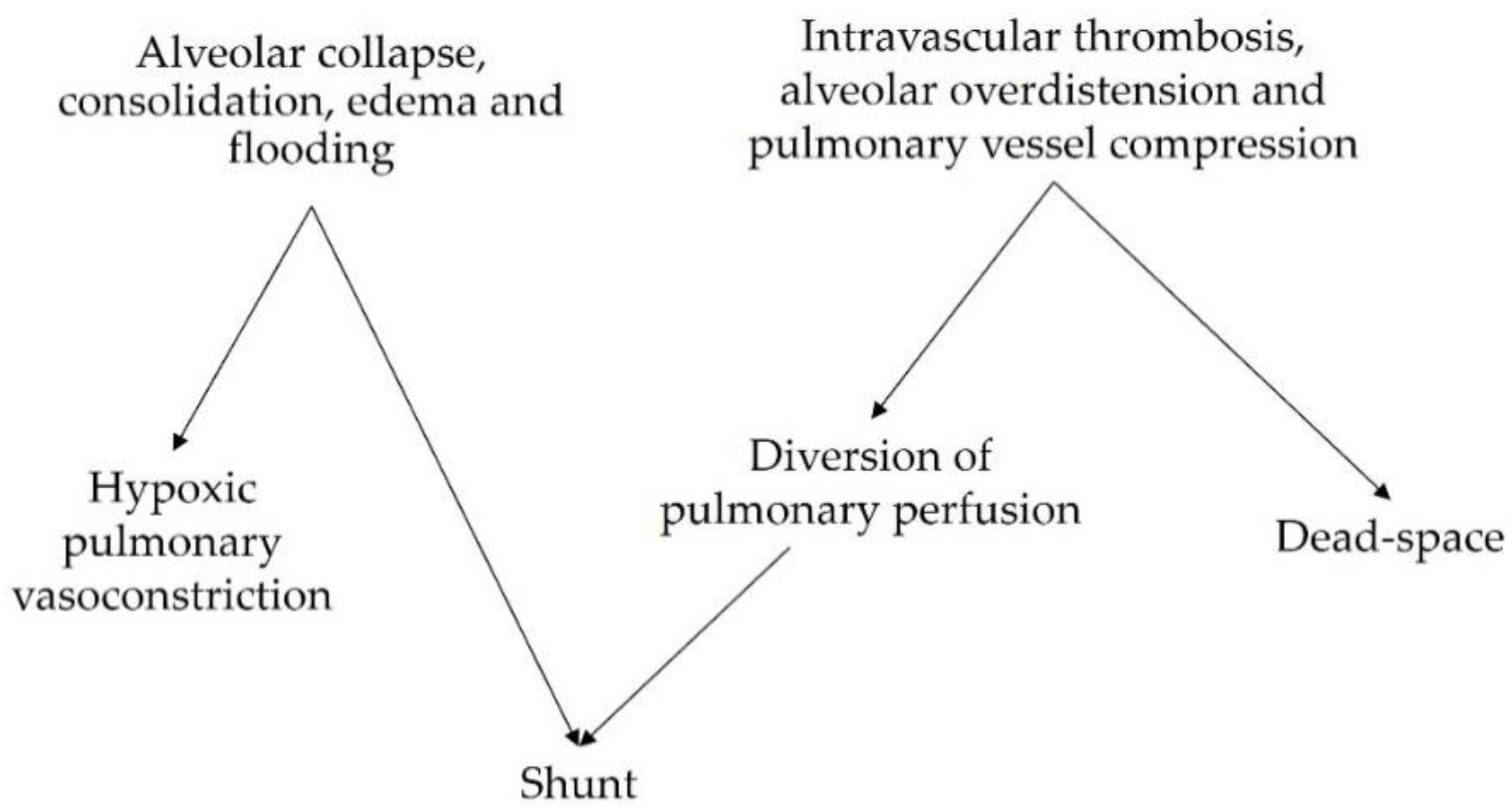 Biology | Free Full-Text | Pathophysiology and Clinical Meaning of  Ventilation-Perfusion Mismatch in the Acute Respiratory Distress Syndrome