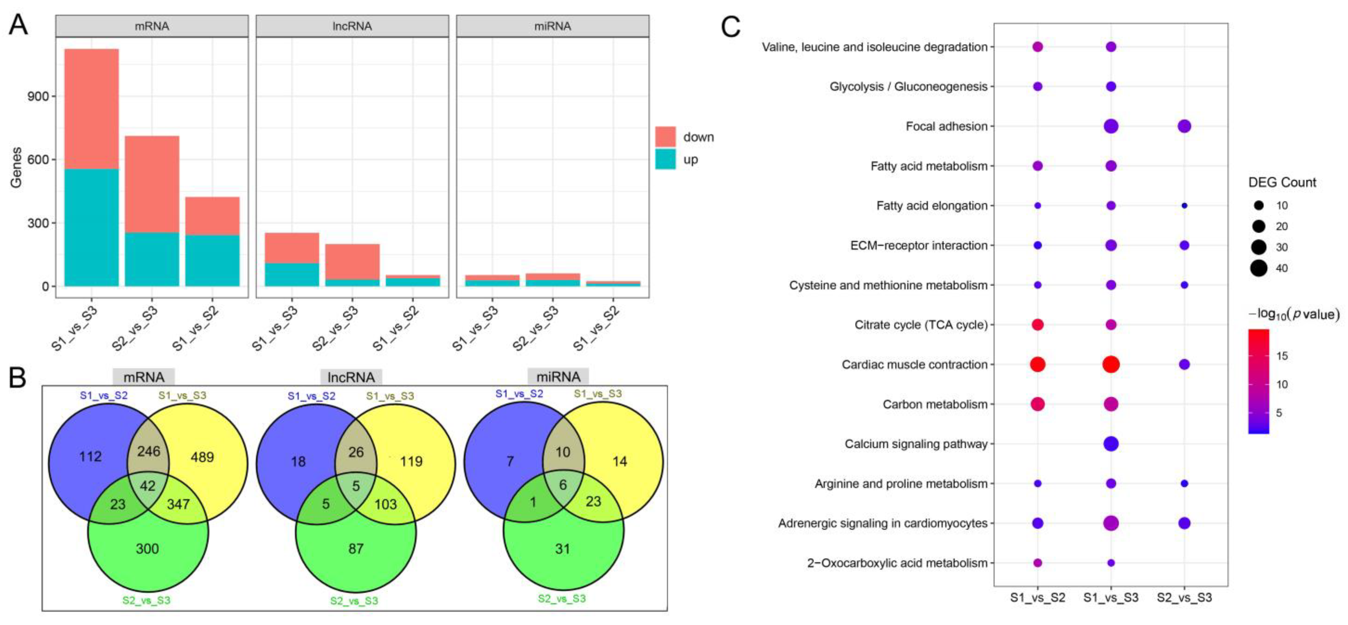 Biology 12 00075 g002 Biology 12 00075 g002