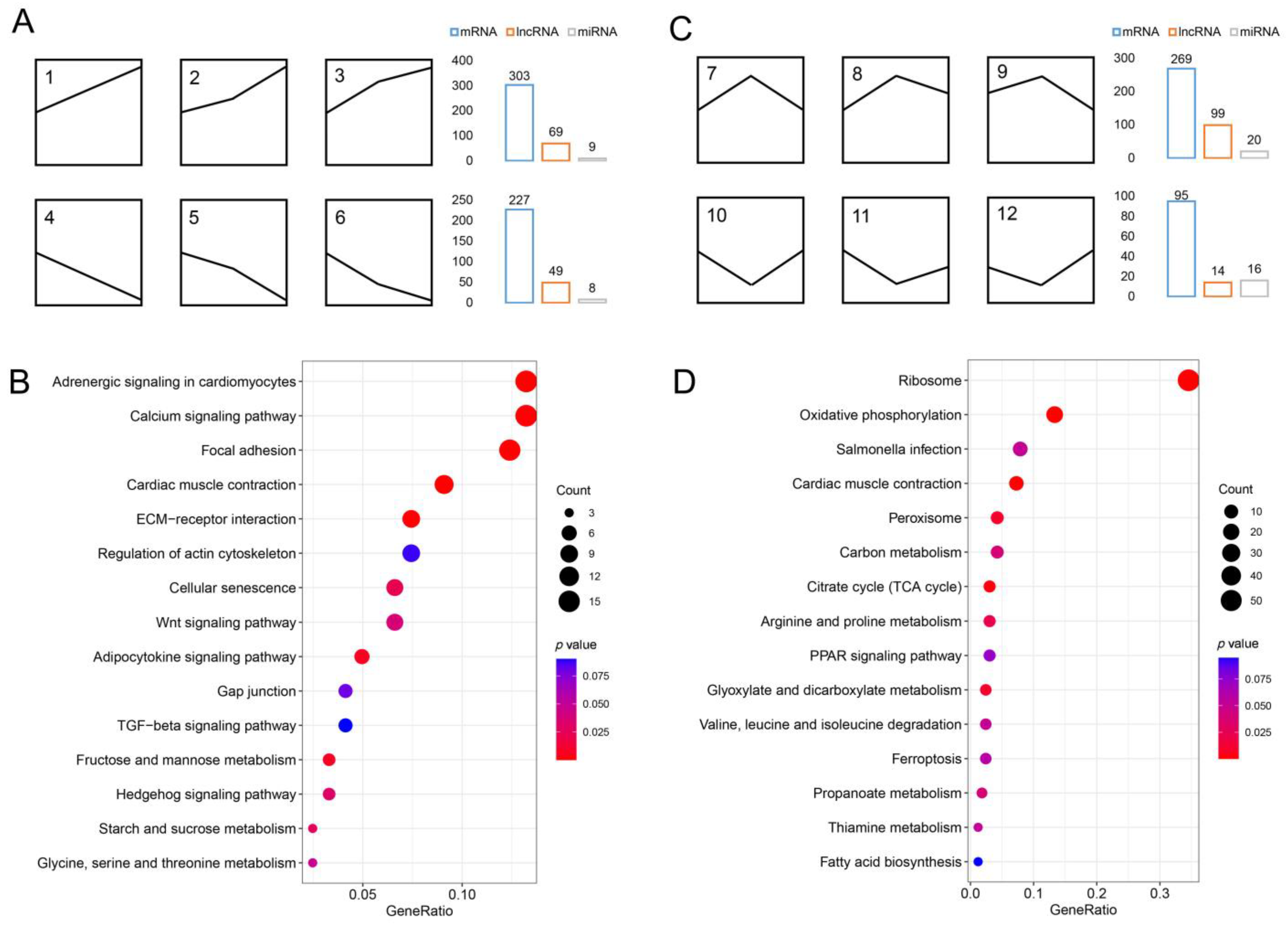 Biology 12 00075 g003 Biology 12 00075 g003