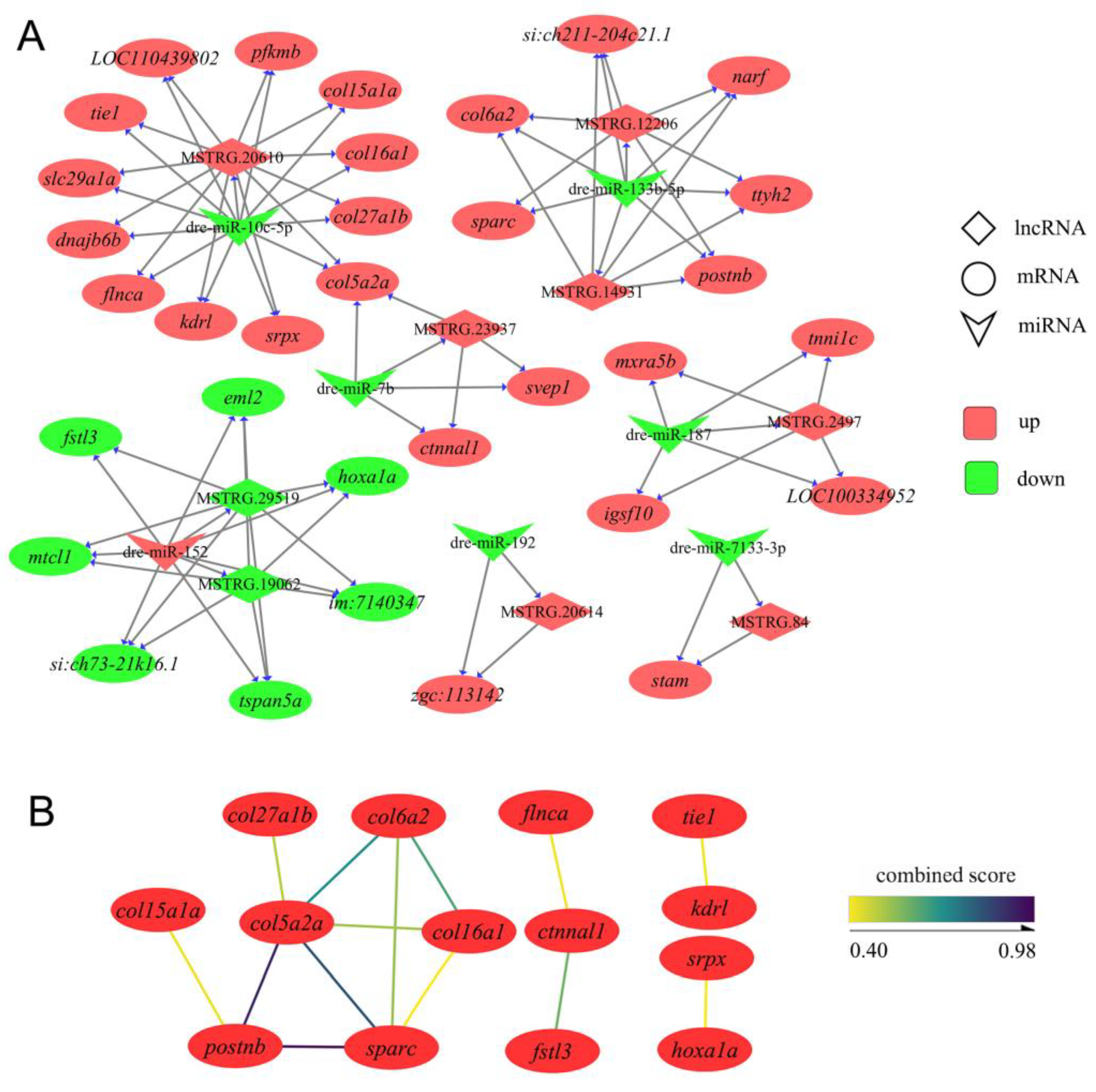 Biology 12 00075 g004 Biology 12 00075 g004