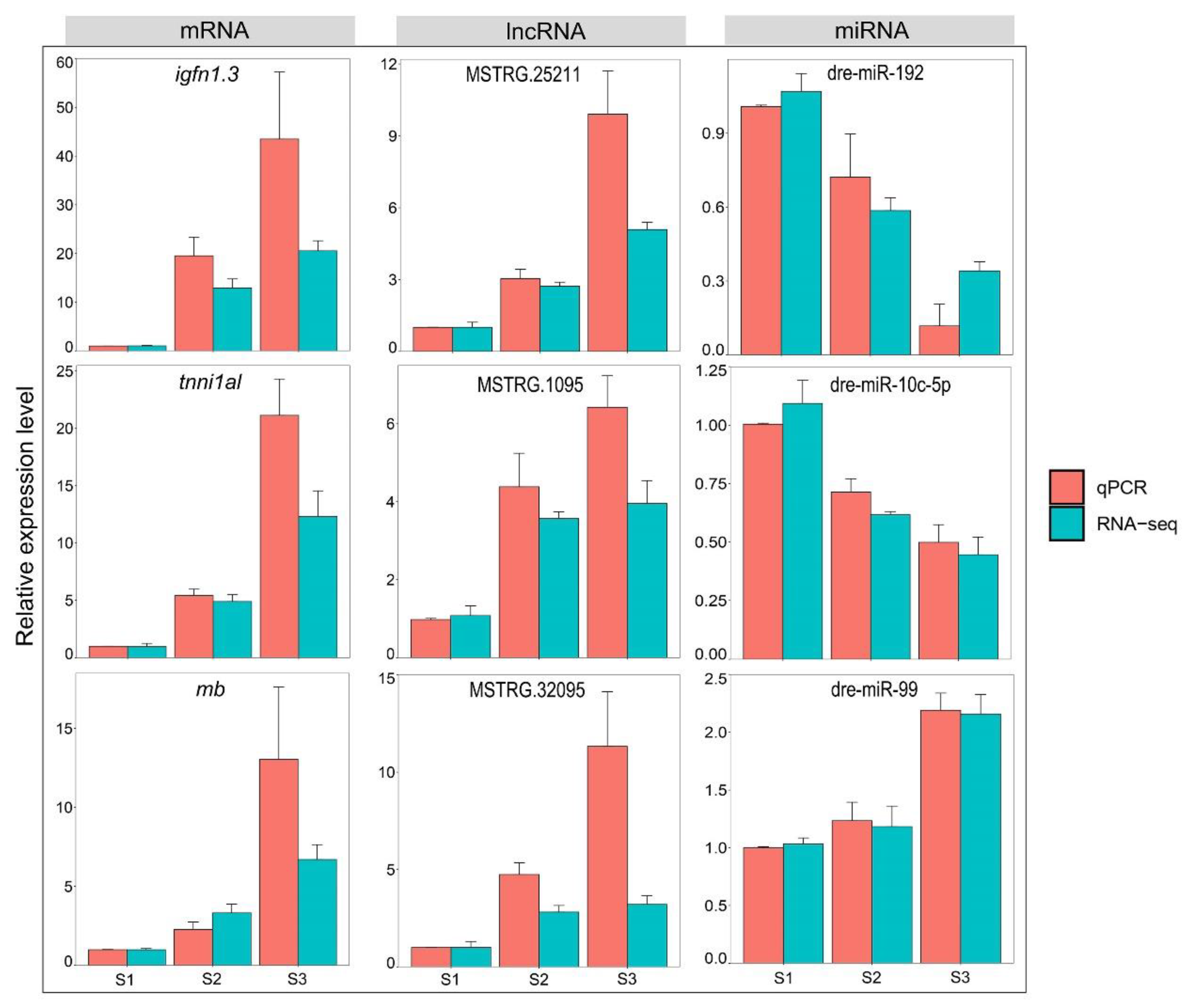 Biology 12 00075 g005 Biology 12 00075 g005