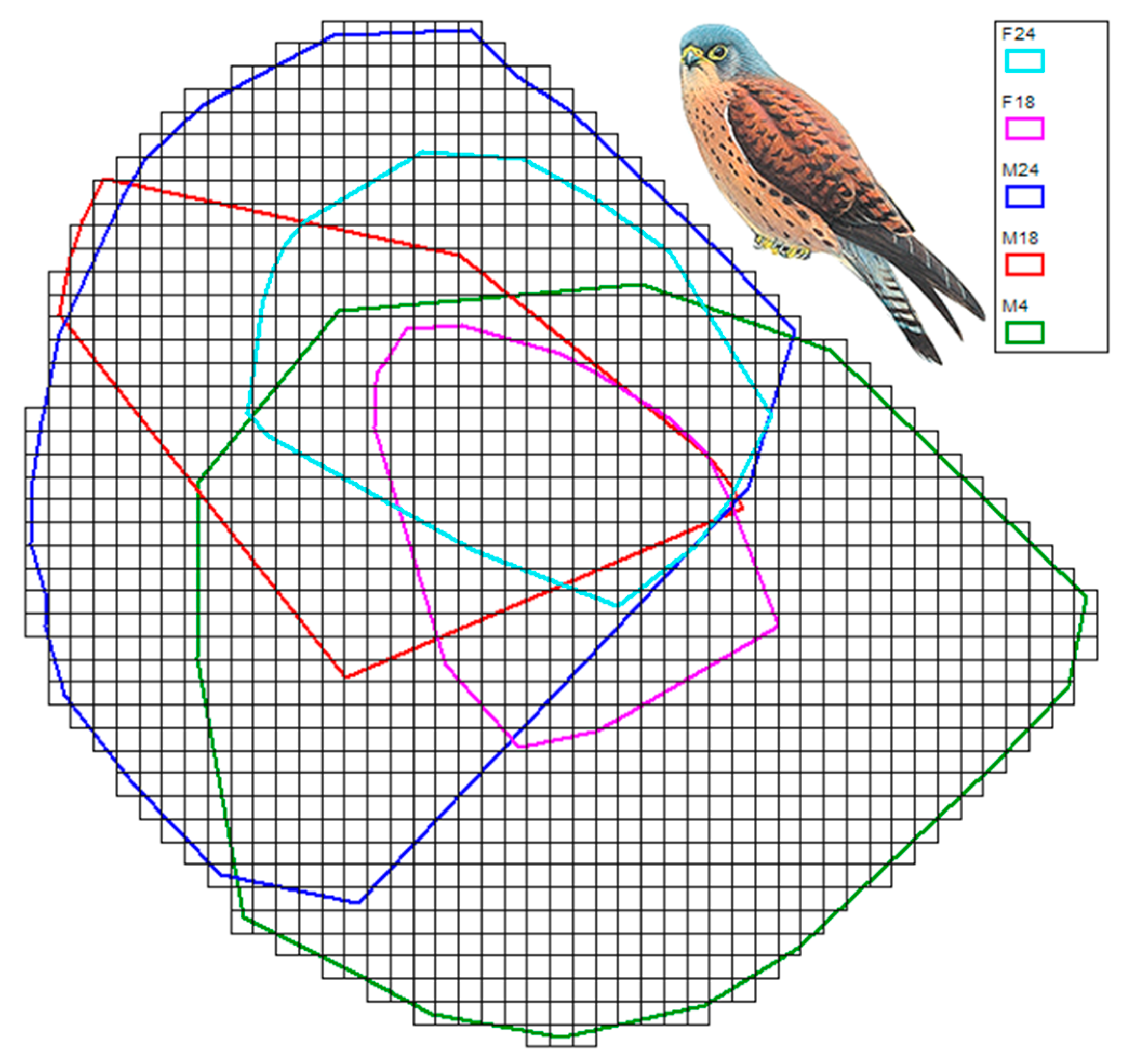 Biology 12 00077 g002