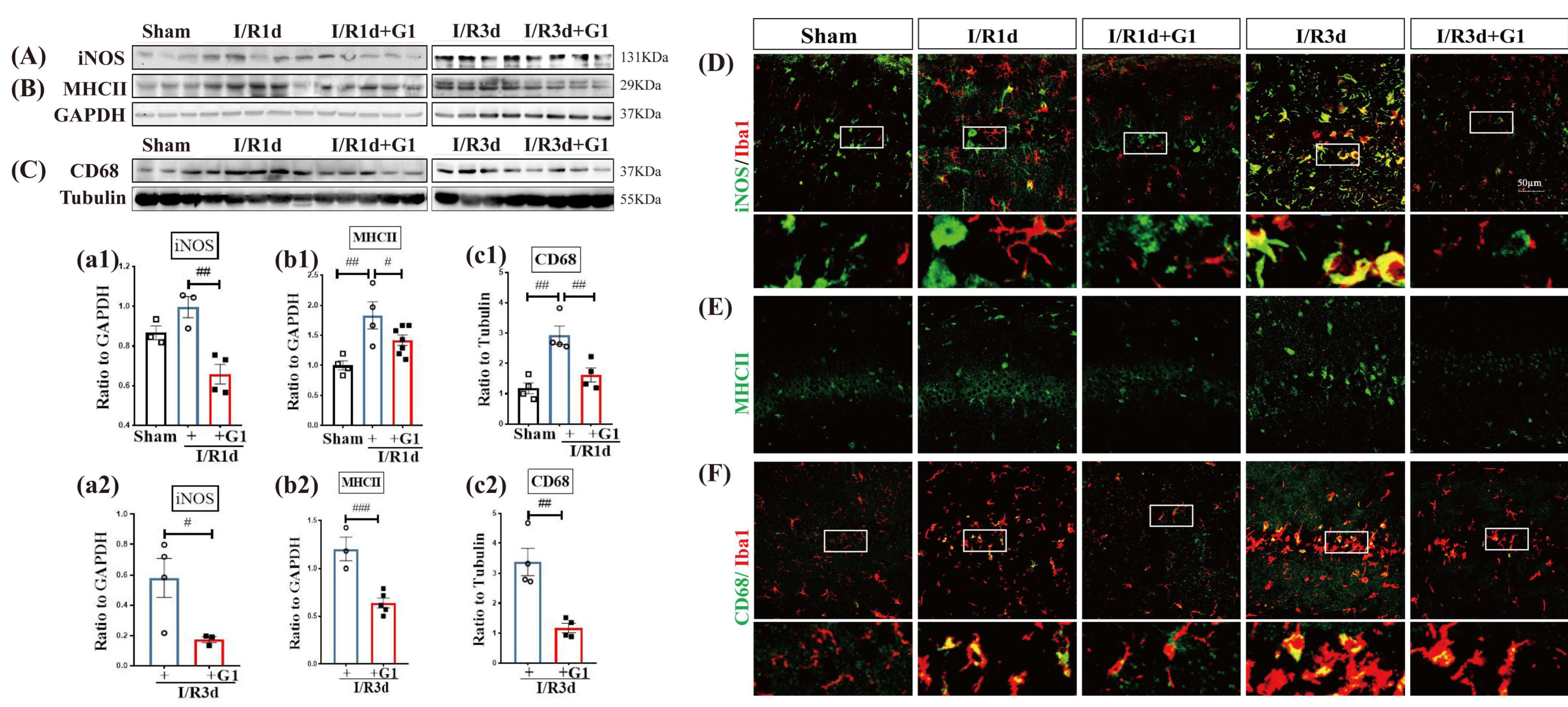 Biology 12 00099 g001 Biology 12 00099 g001