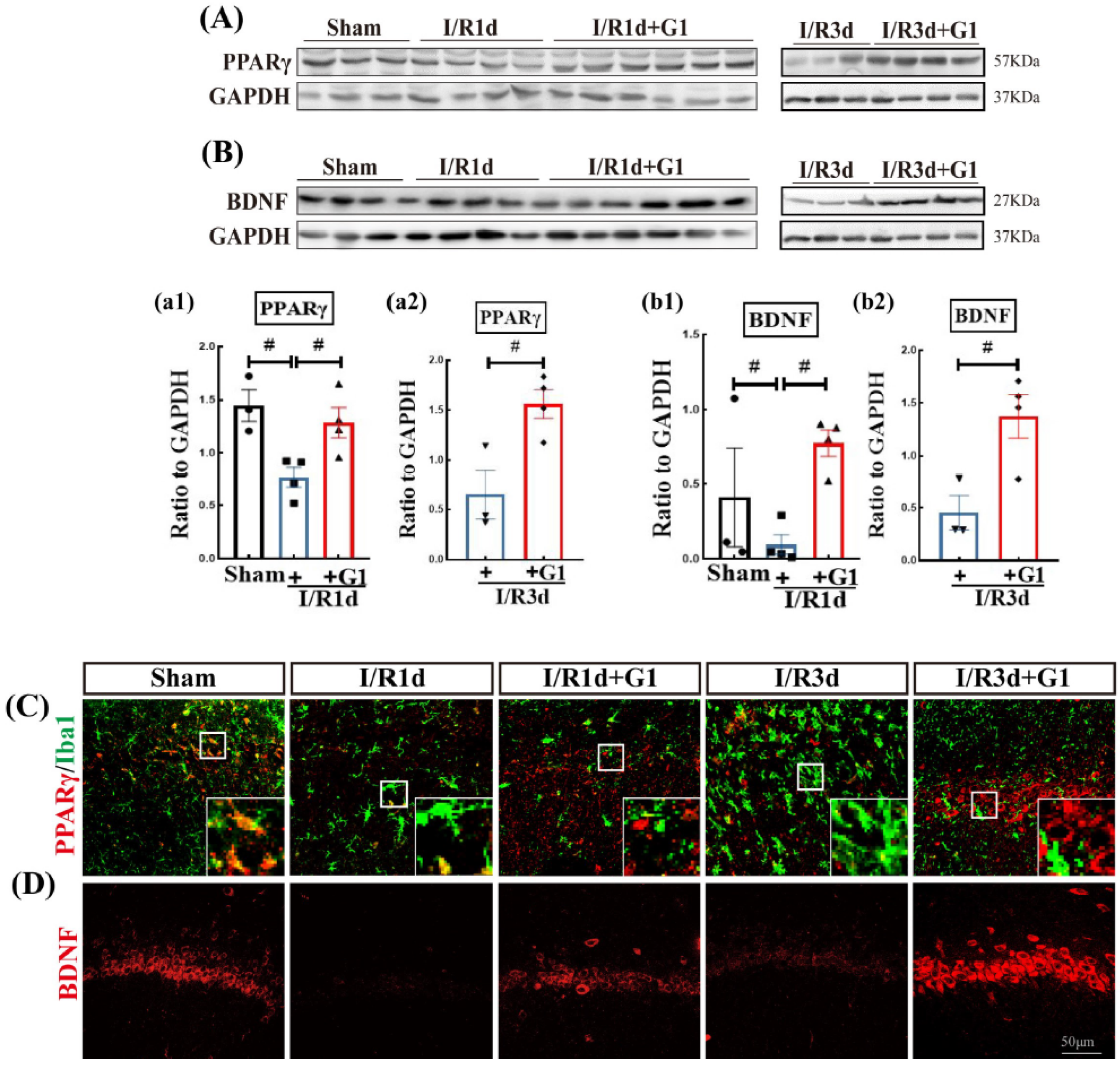 Biology 12 00099 g003 Biology 12 00099 g003