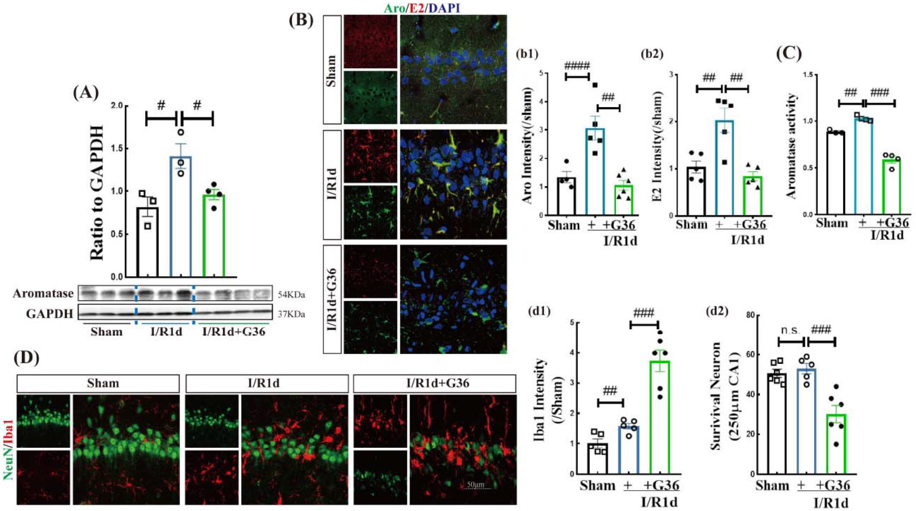 Biology 12 00099 g004 Biology 12 00099 g004