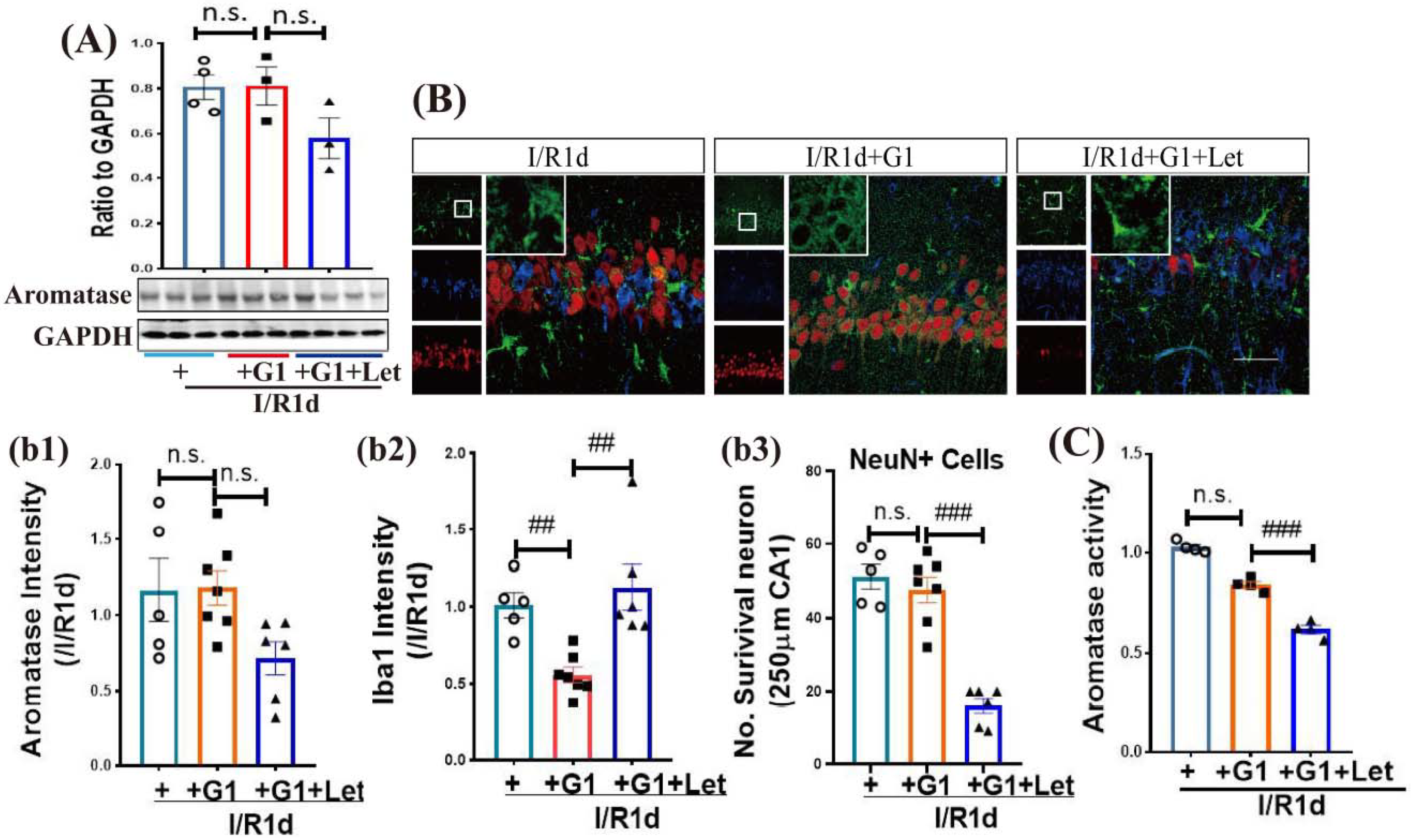 Biology 12 00099 g005 Biology 12 00099 g005