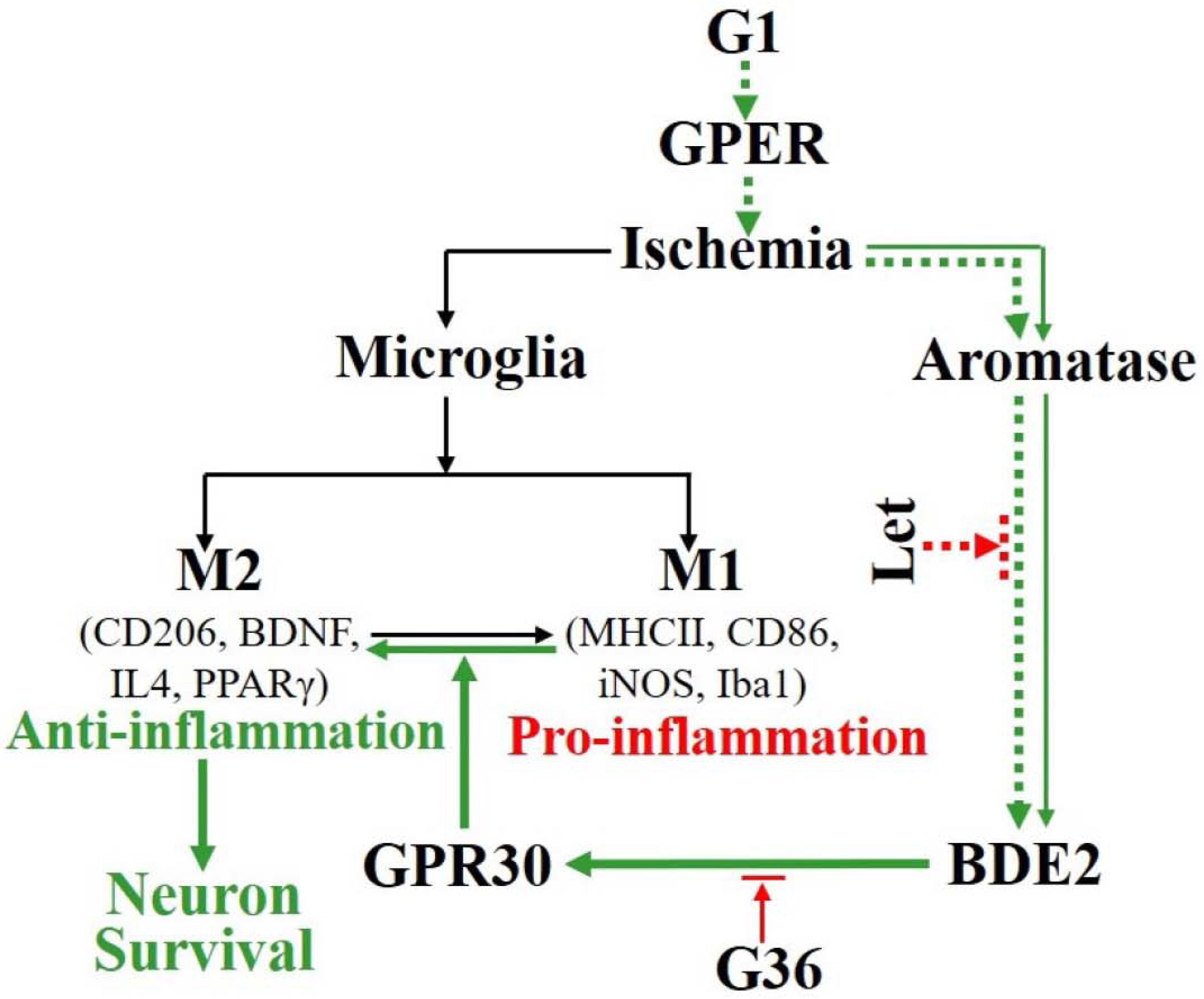 Biology 12 00099 g007 Biology 12 00099 g007