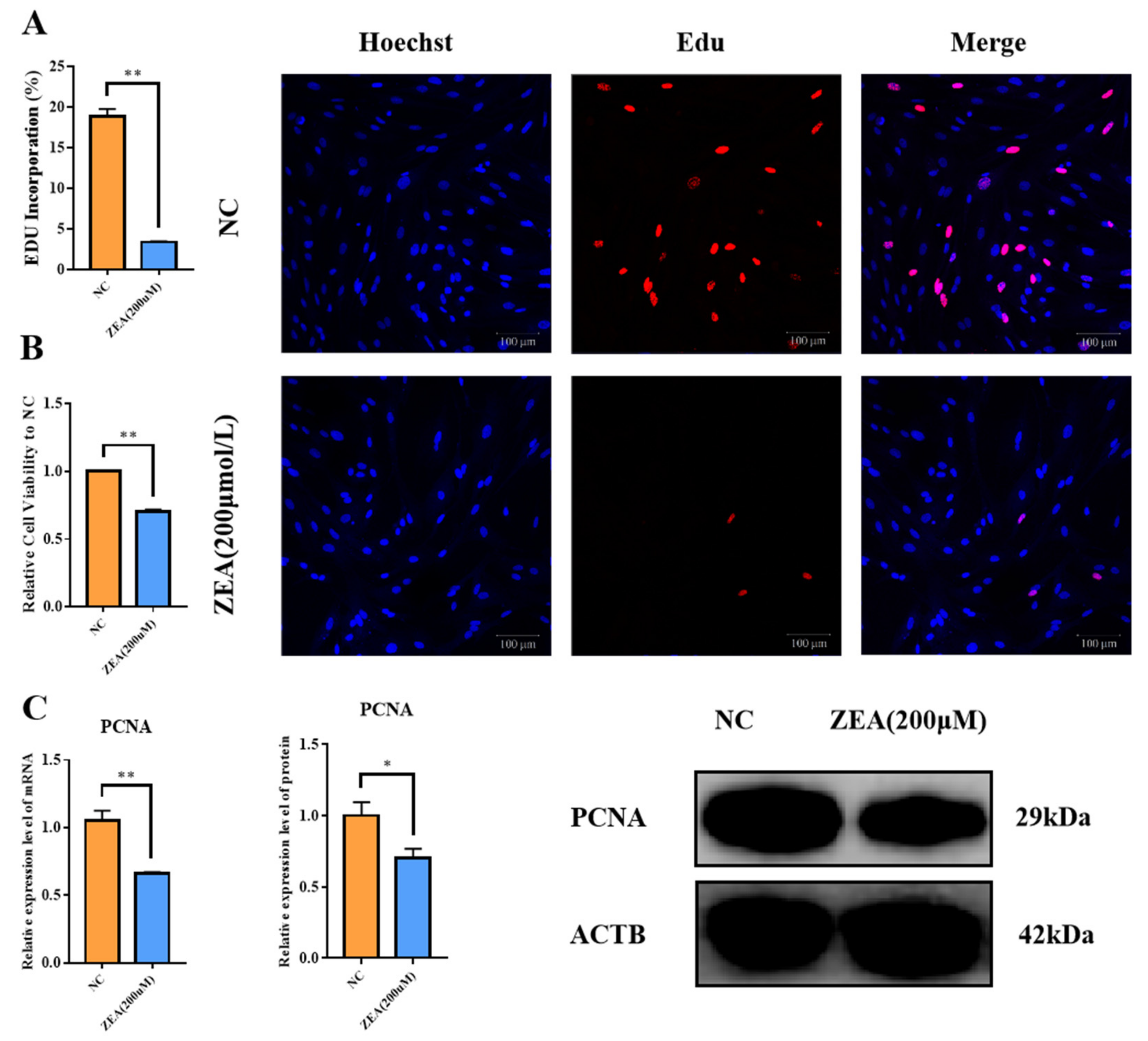 Biology 12 00100 g001 Biology 12 00100 g001