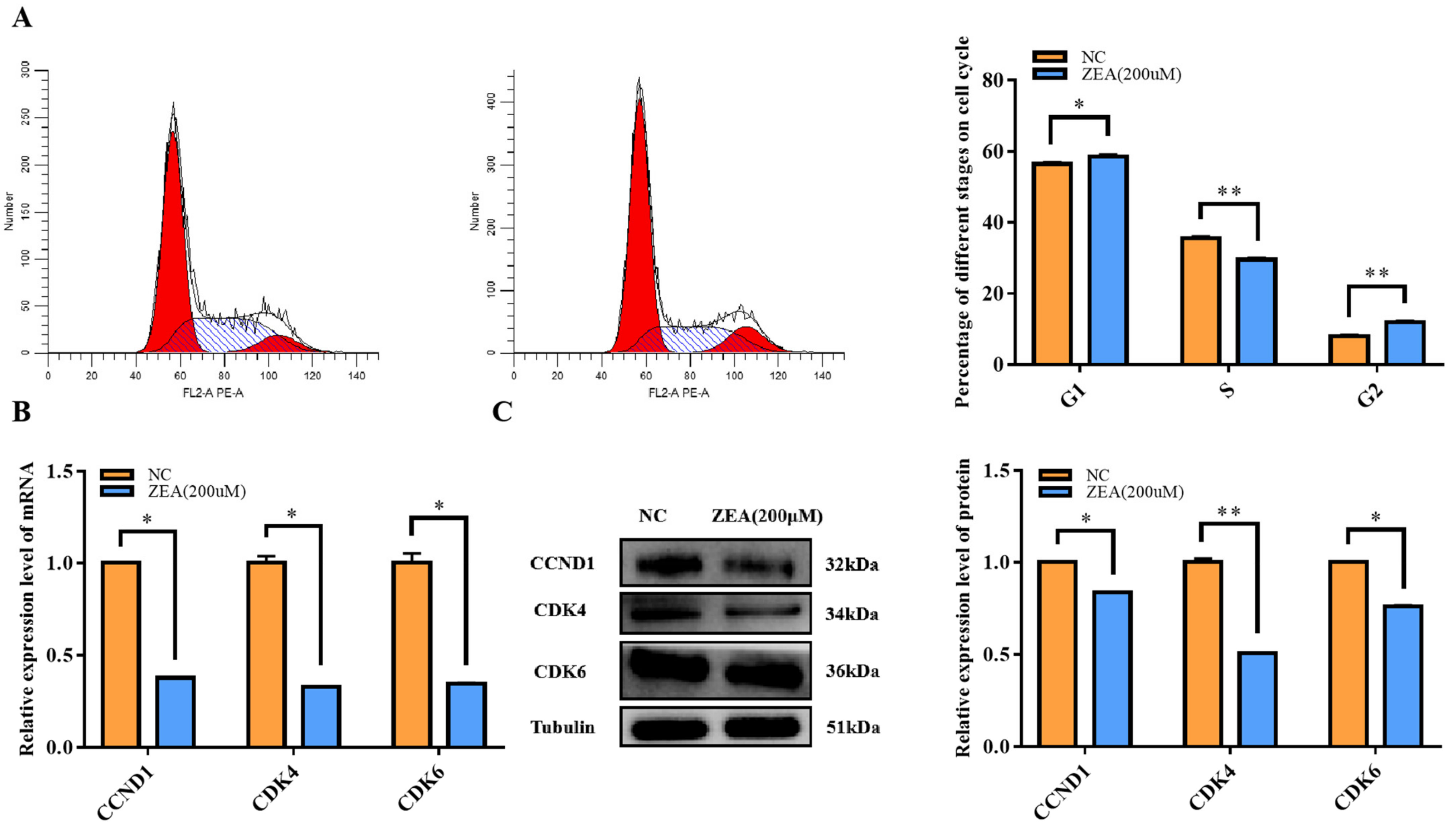 Biology 12 00100 g002 Biology 12 00100 g002