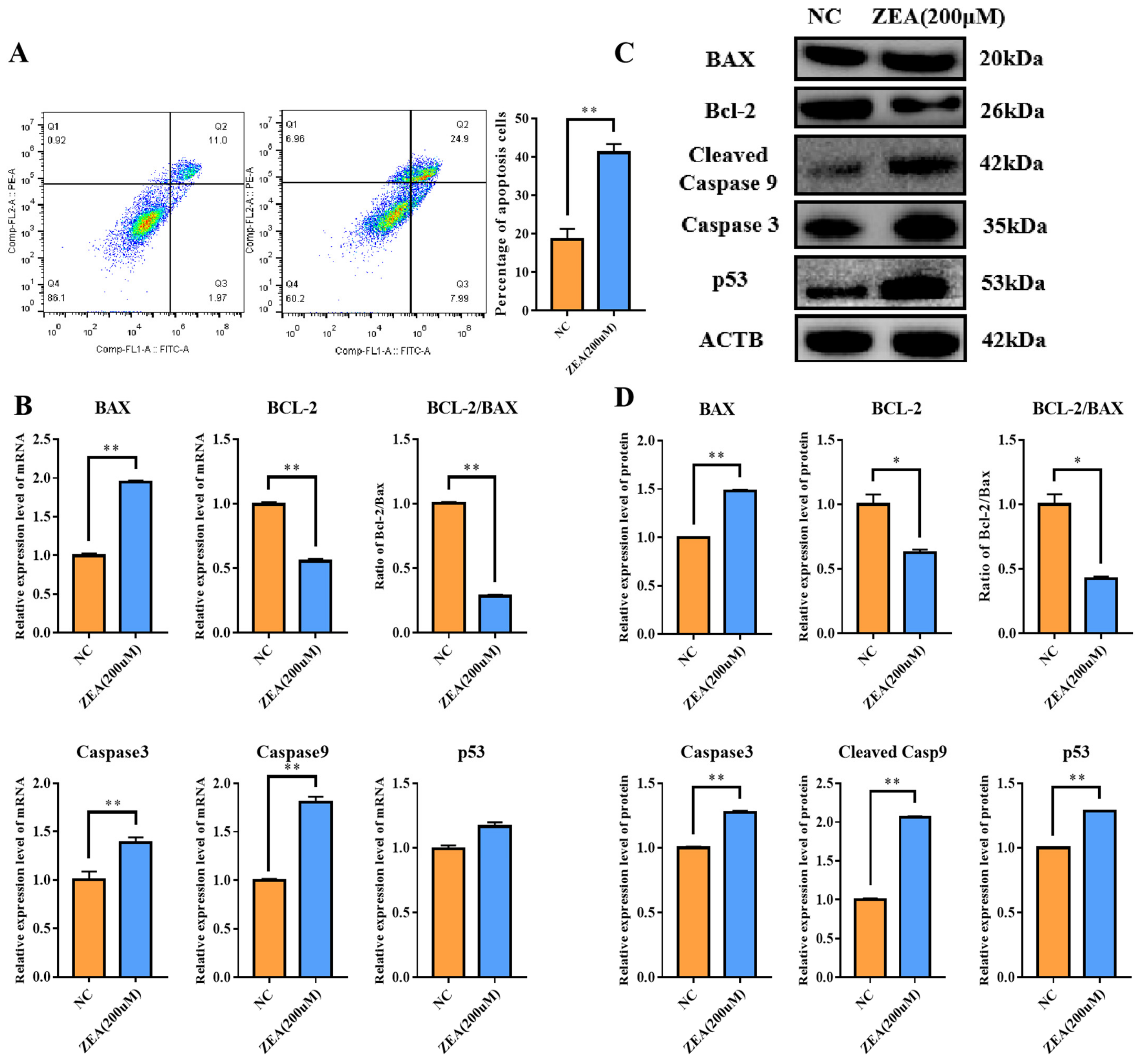 Biology 12 00100 g003 Biology 12 00100 g003