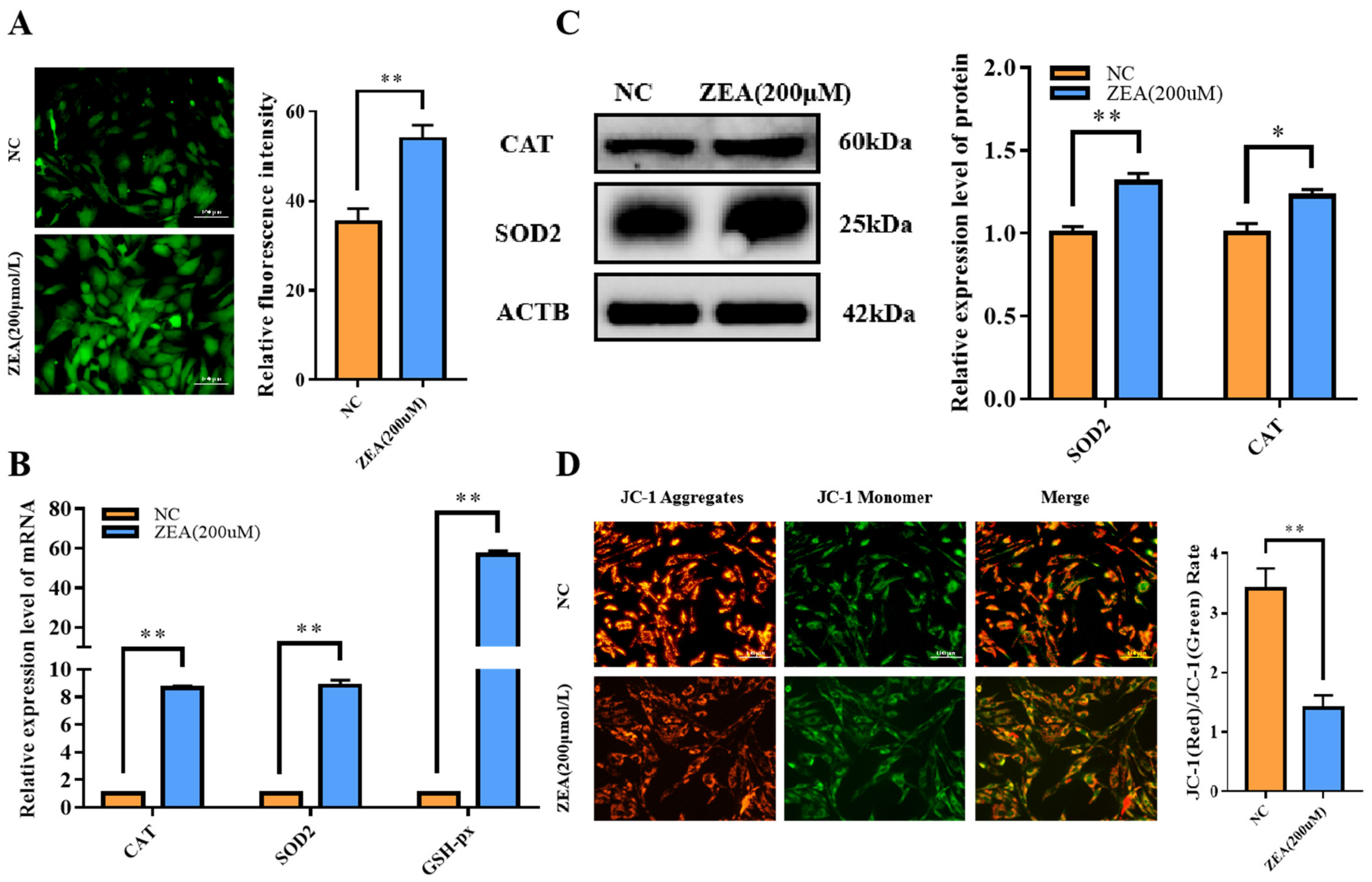 Biology 12 00100 g004 Biology 12 00100 g004