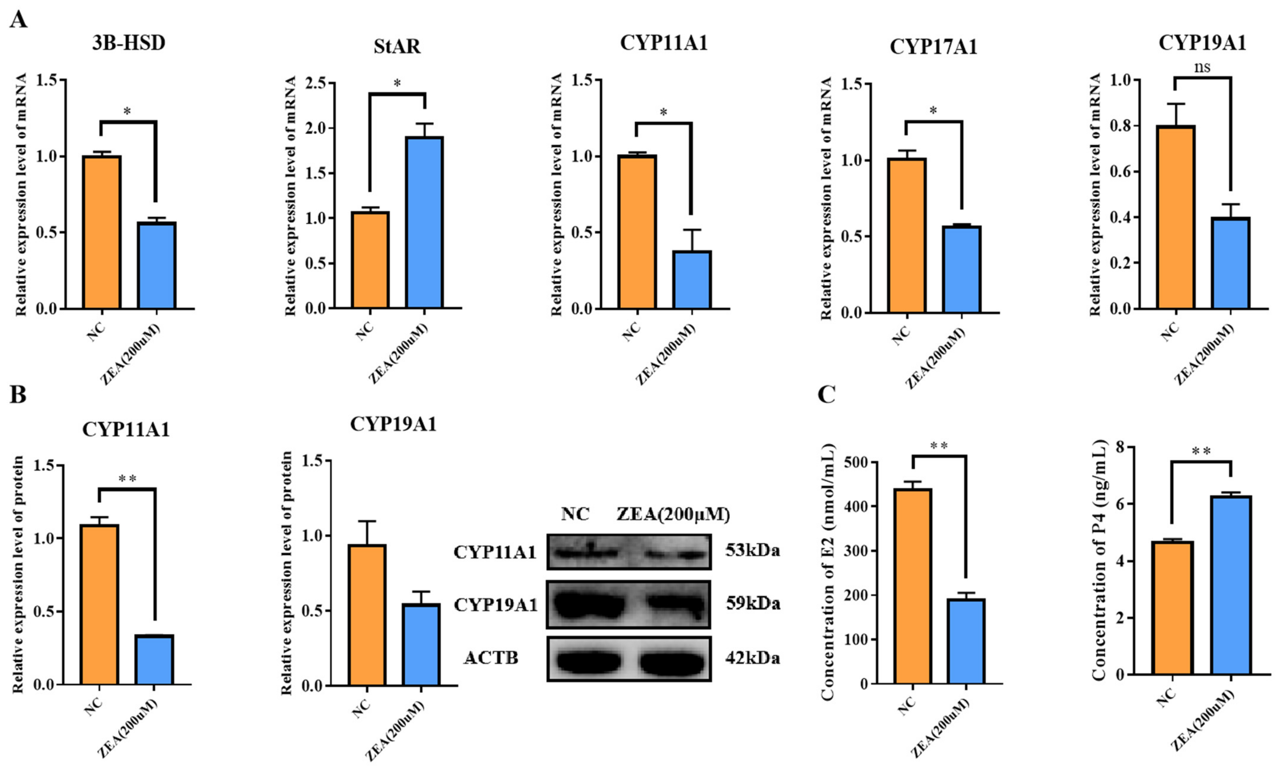 Biology 12 00100 g005 Biology 12 00100 g005