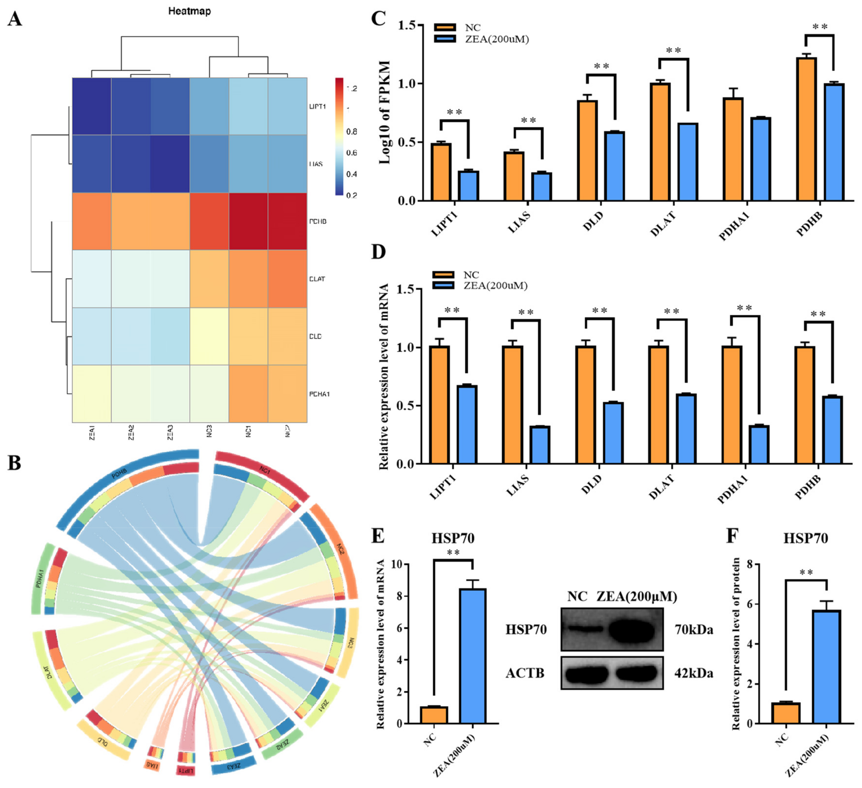 Biology 12 00100 g007 Biology 12 00100 g007