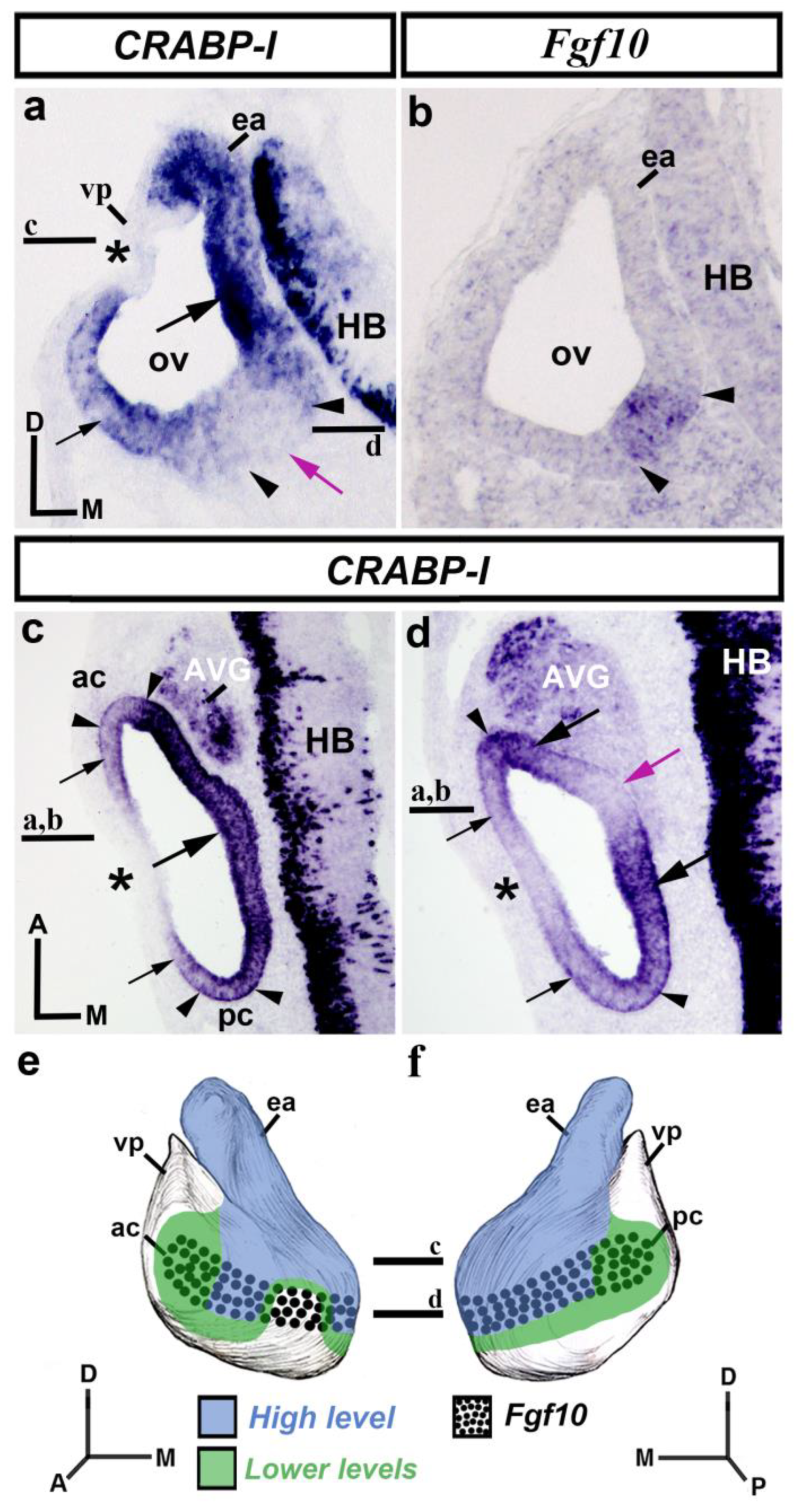 Biology 12 00104 g001 Biology 12 00104 g001