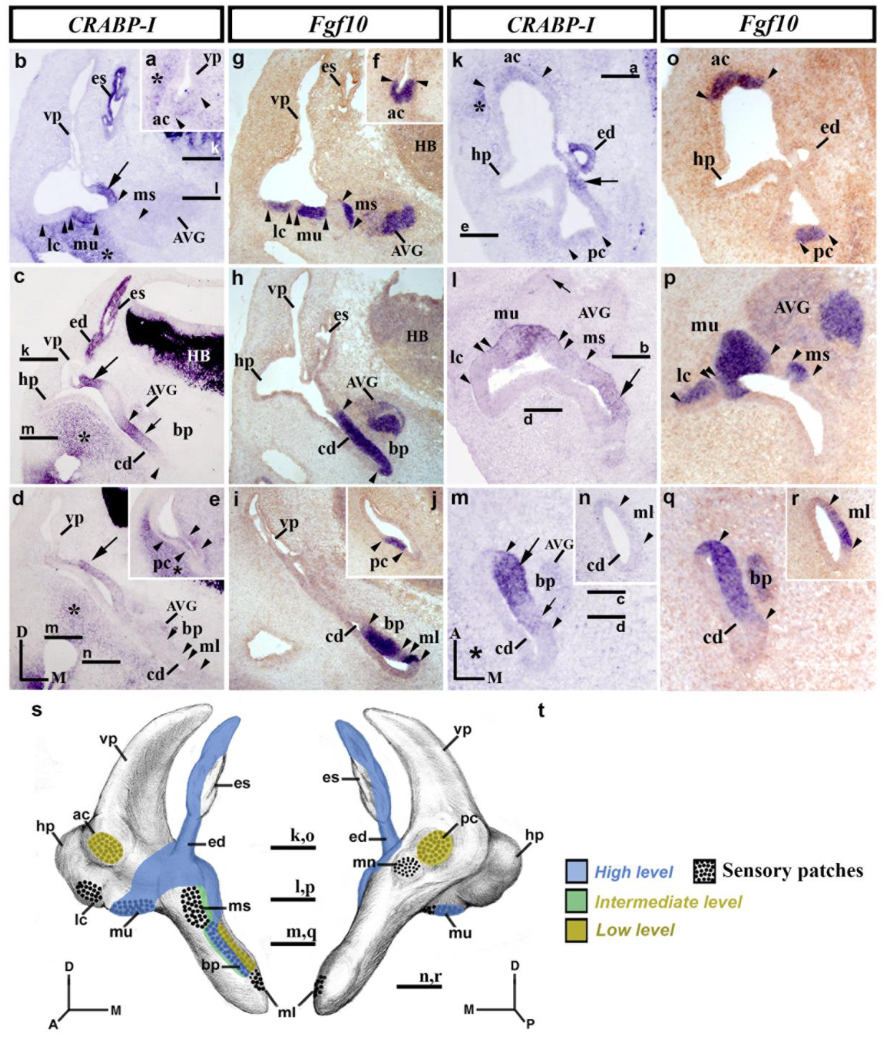 Biology 12 00104 g003 Biology 12 00104 g003