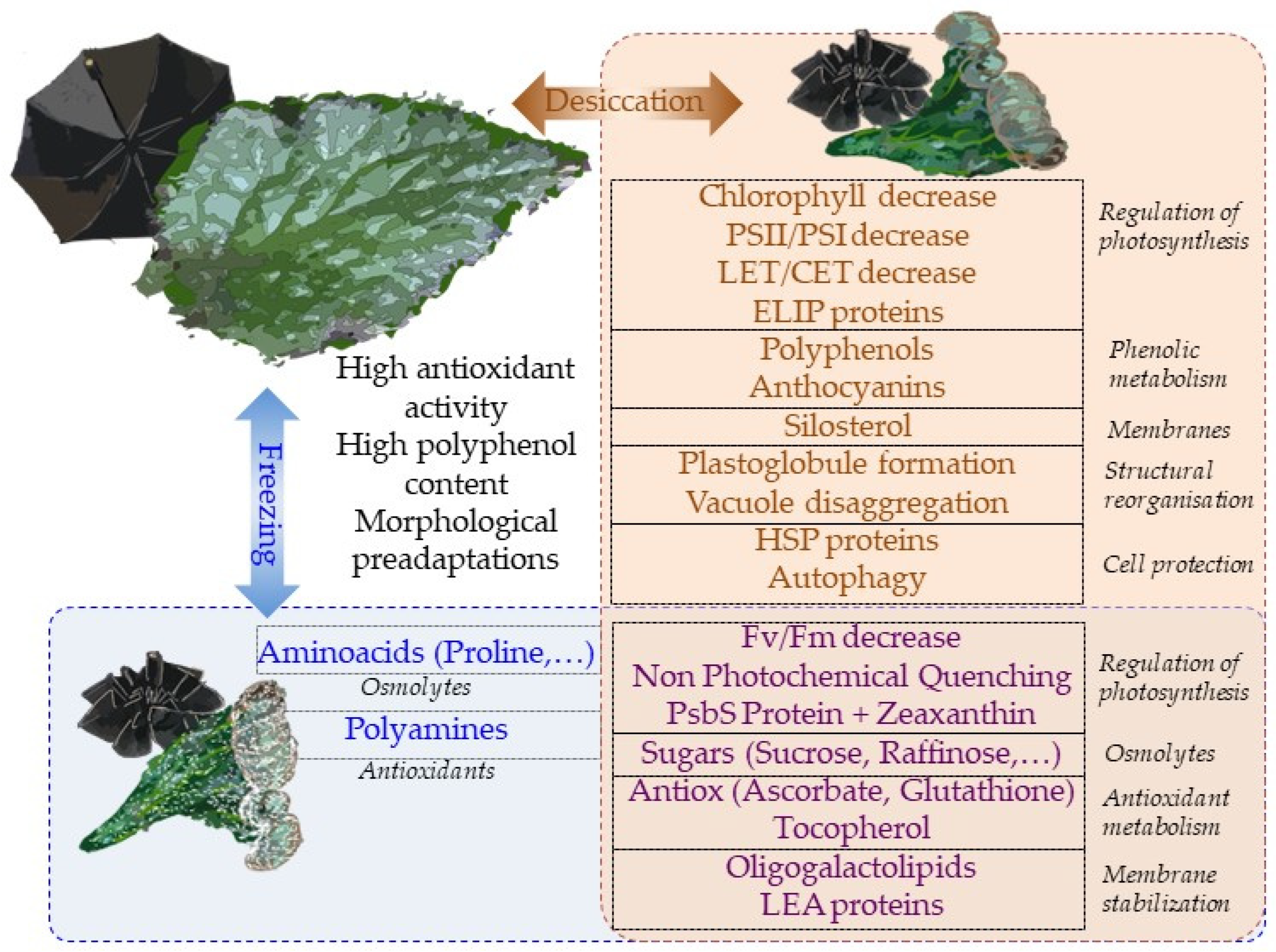 Biology 12 00107 g005 Biology 12 00107 g005