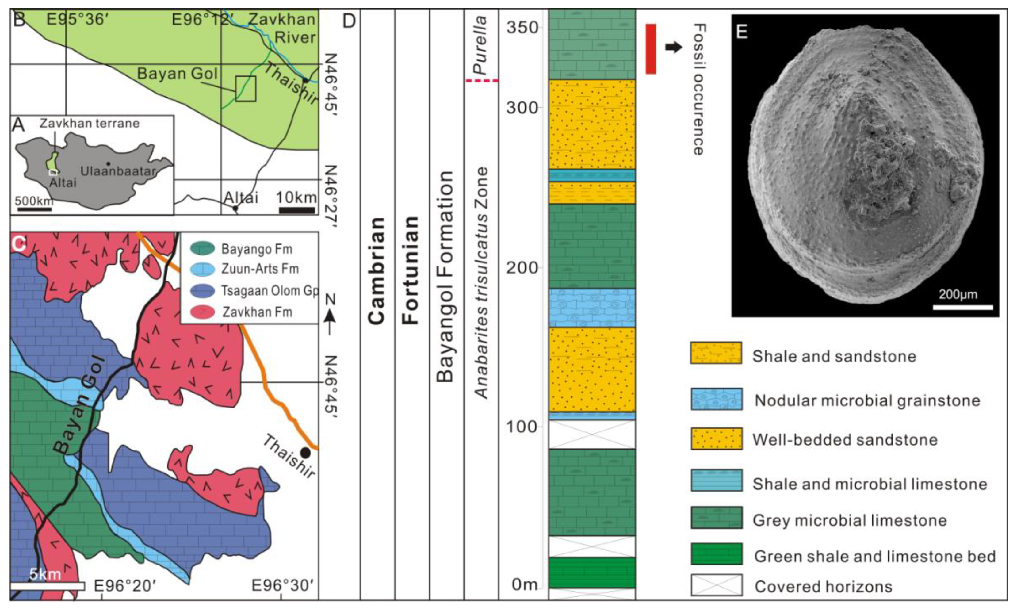 Biology 12 00113 g002
