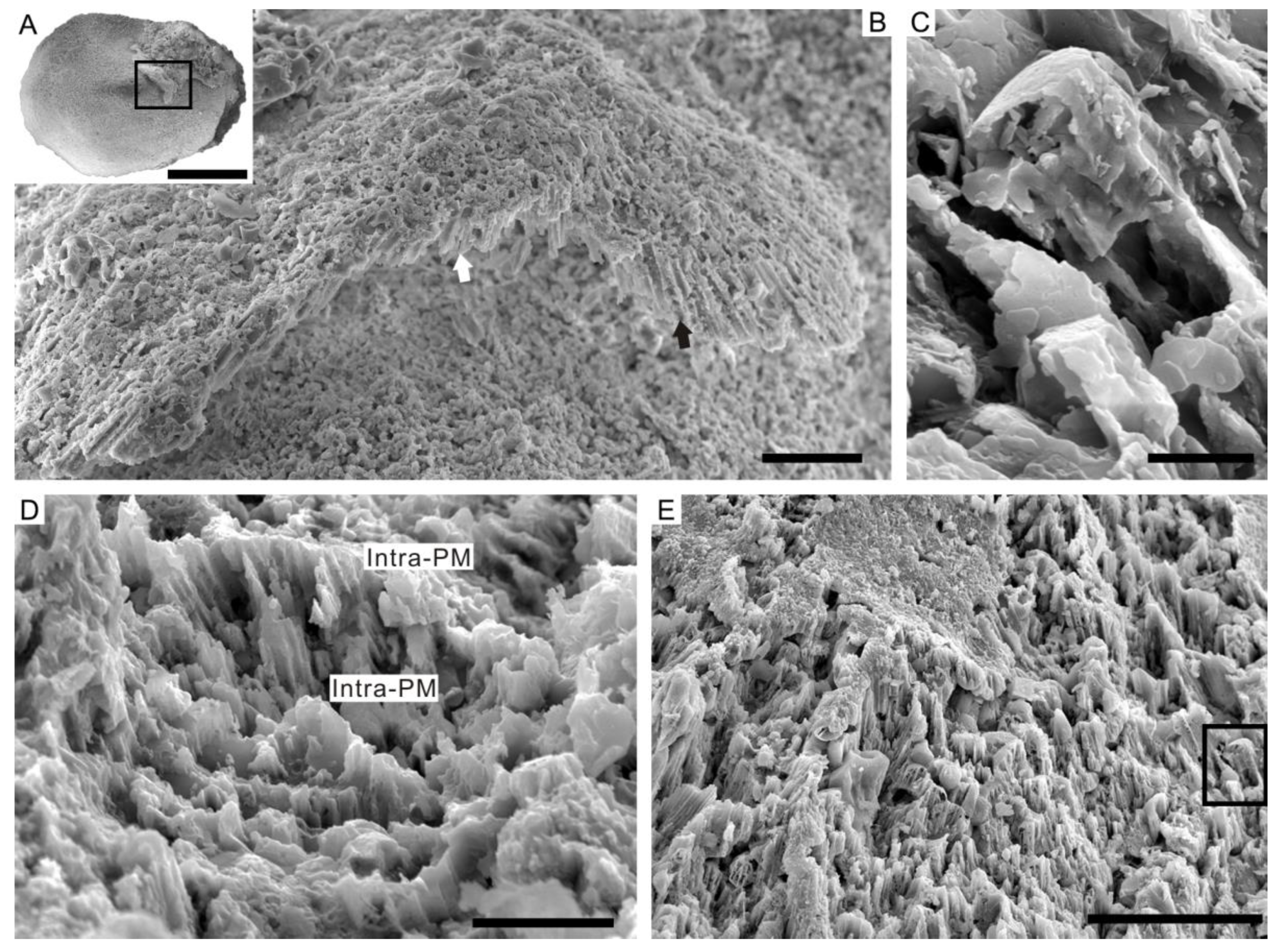 Biology 12 00113 g005