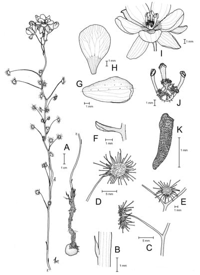 https://www.mdpi.com/biology/biology-12-00141/article_deploy/html/images/biology-12-00141-g012-550.jpg