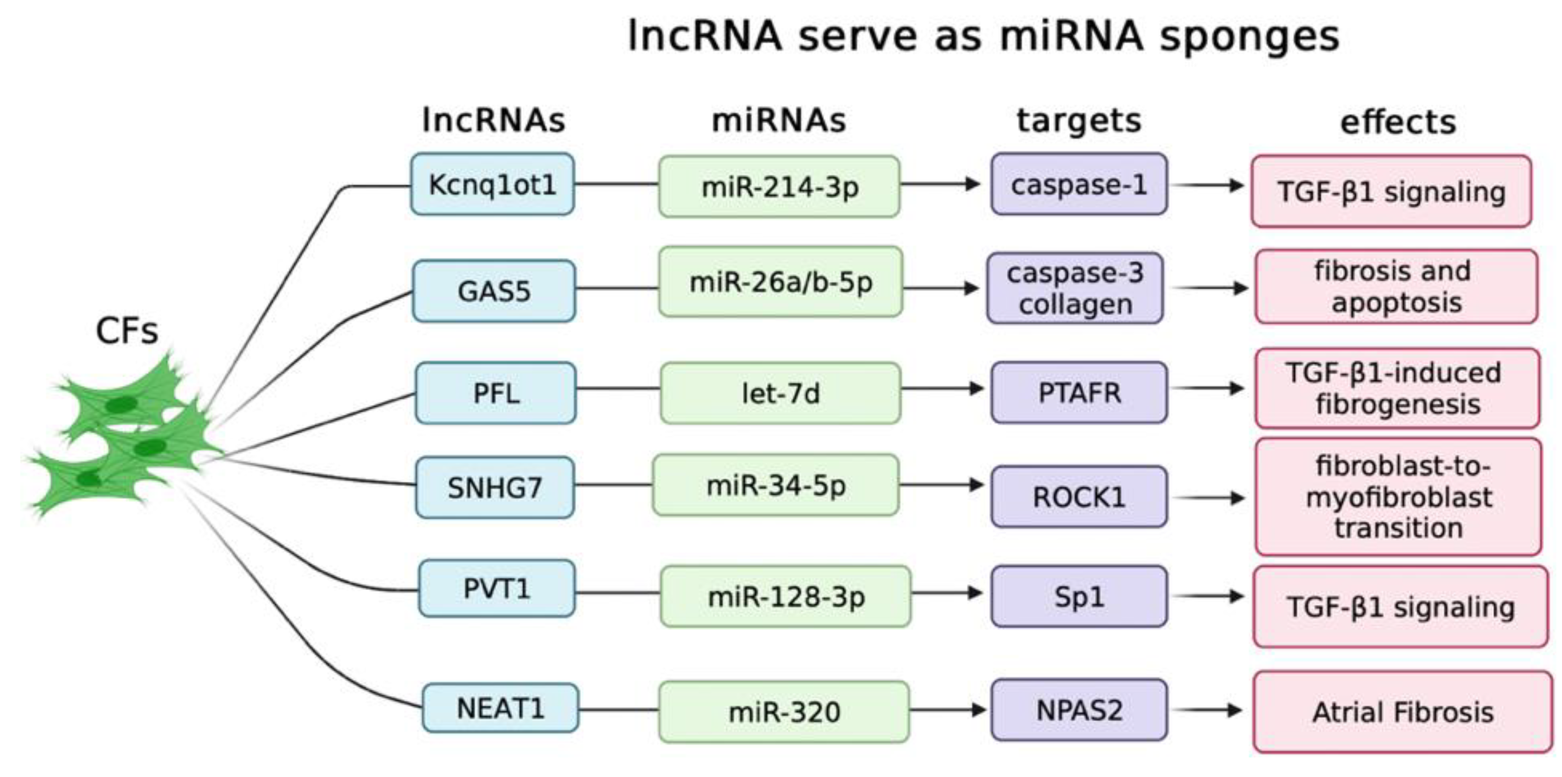 Biology 12 00154 g002