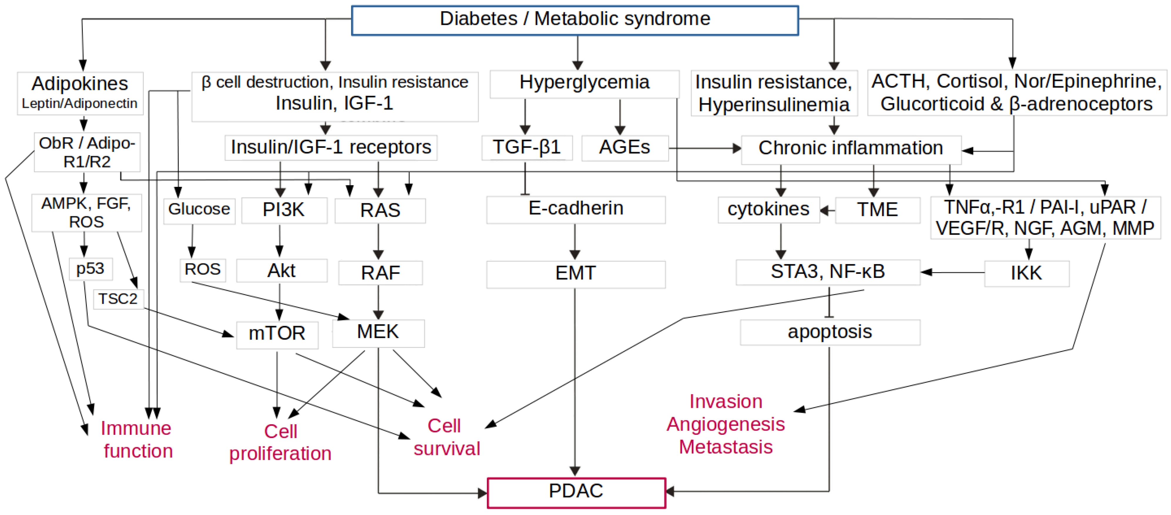 Biology | Free Full-Text | Nutraceuticals as Supportive