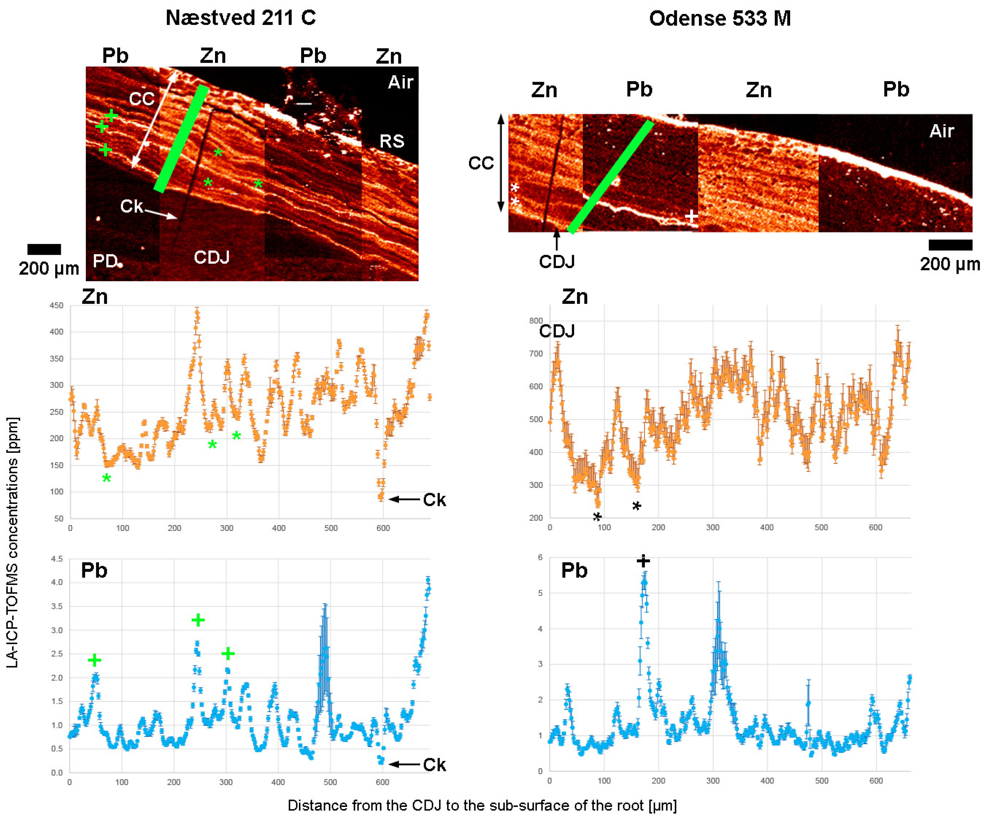 Biology 12 00184 g006 Biology 12 00184 g006